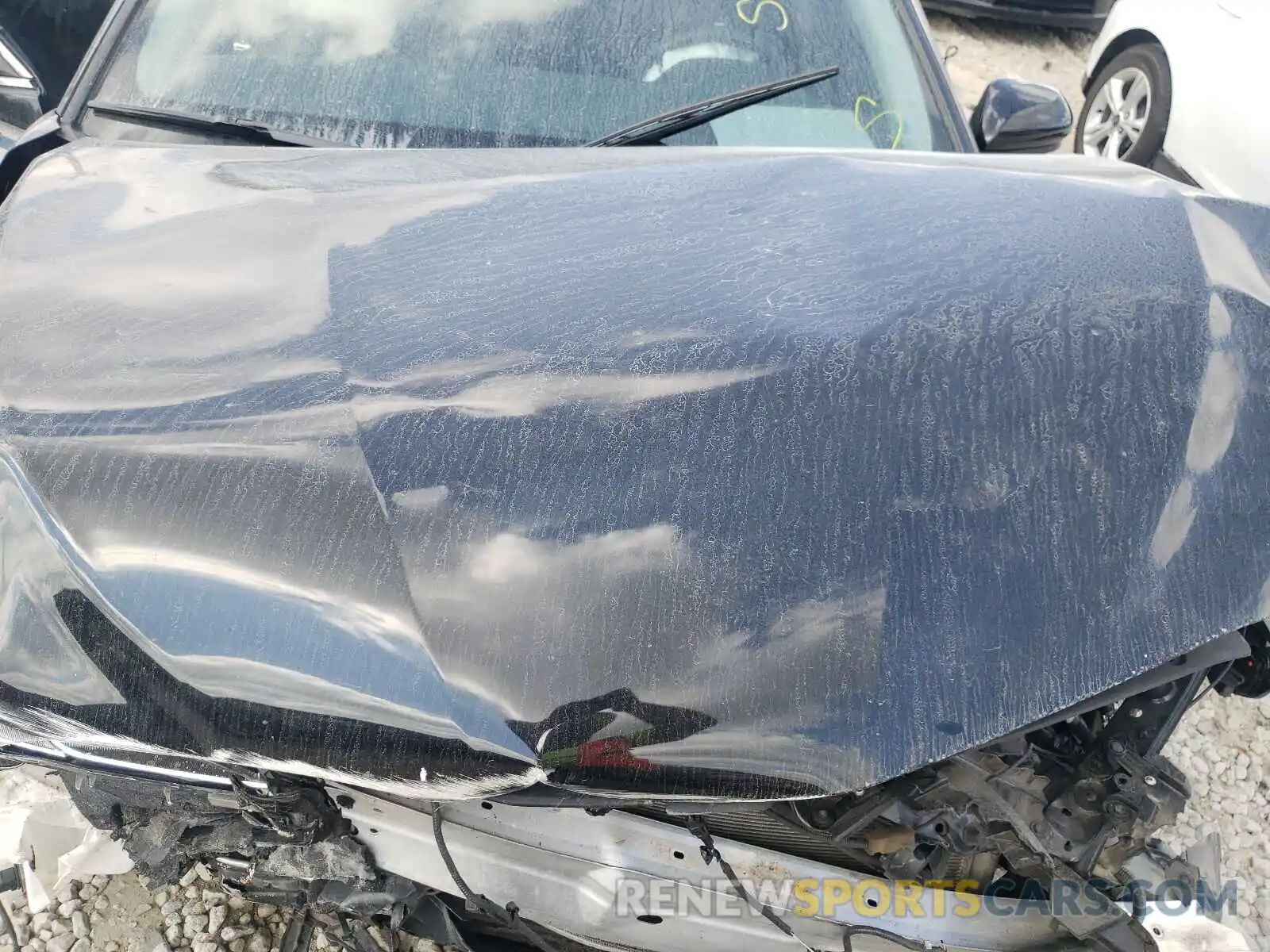 7 Photograph of a damaged car 4T1B11HK6KU791546 TOYOTA CAMRY 2019