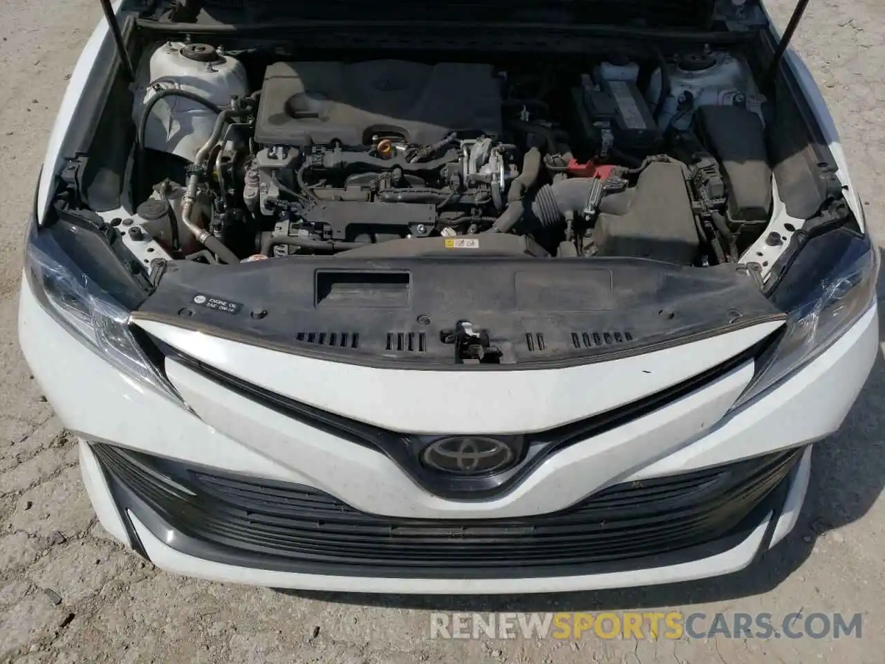 7 Photograph of a damaged car 4T1B11HK6KU806787 TOYOTA CAMRY 2019