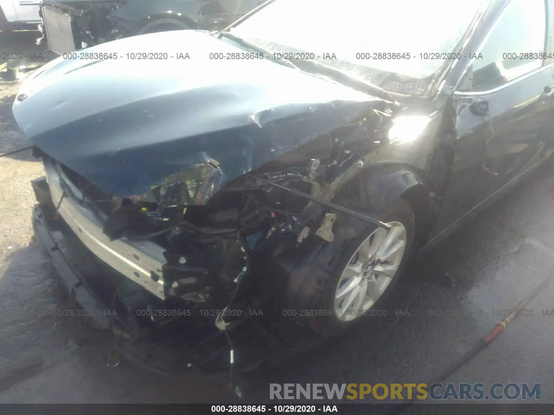 6 Photograph of a damaged car 4T1B11HK6KU813819 TOYOTA CAMRY 2019