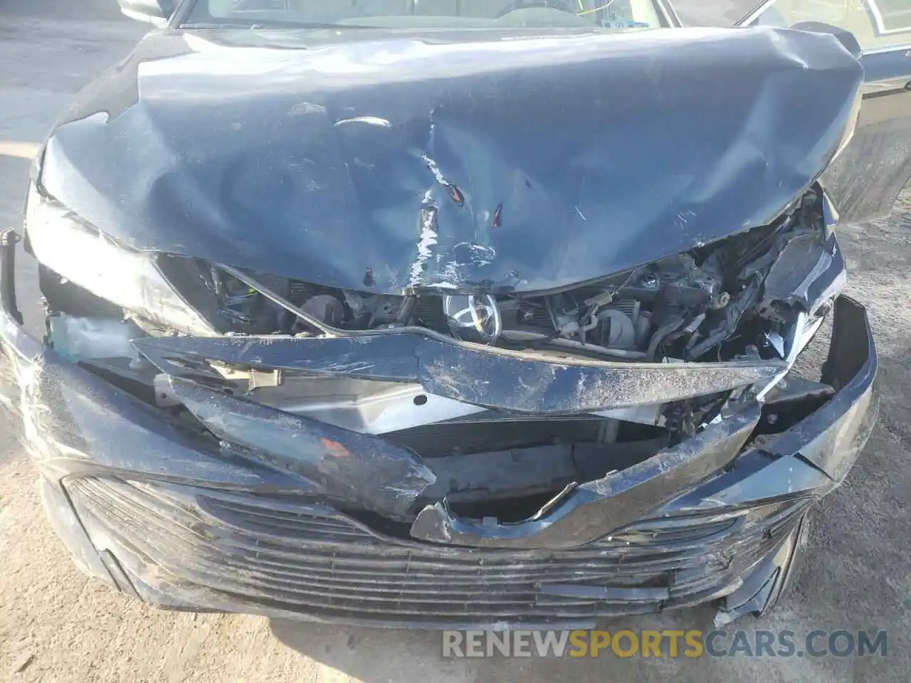 7 Photograph of a damaged car 4T1B11HK6KU814503 TOYOTA CAMRY 2019