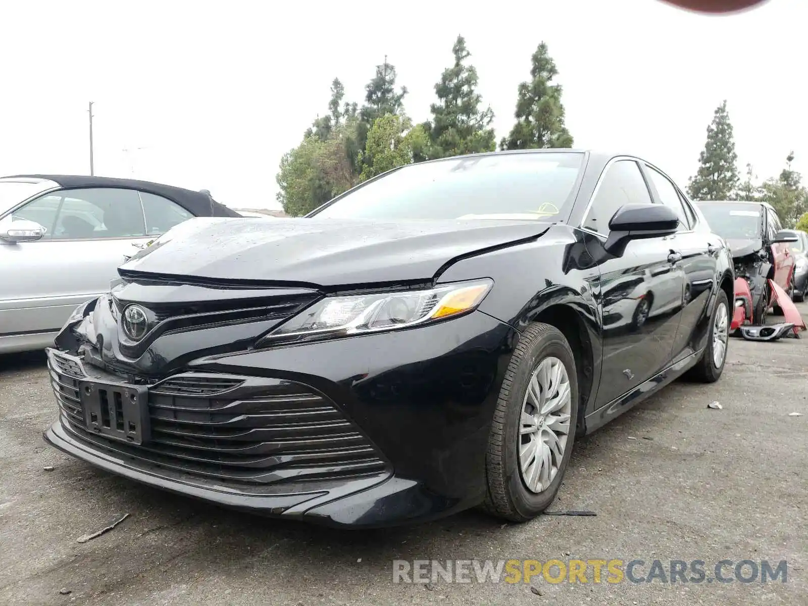 2 Photograph of a damaged car 4T1B11HK6KU816803 TOYOTA CAMRY 2019