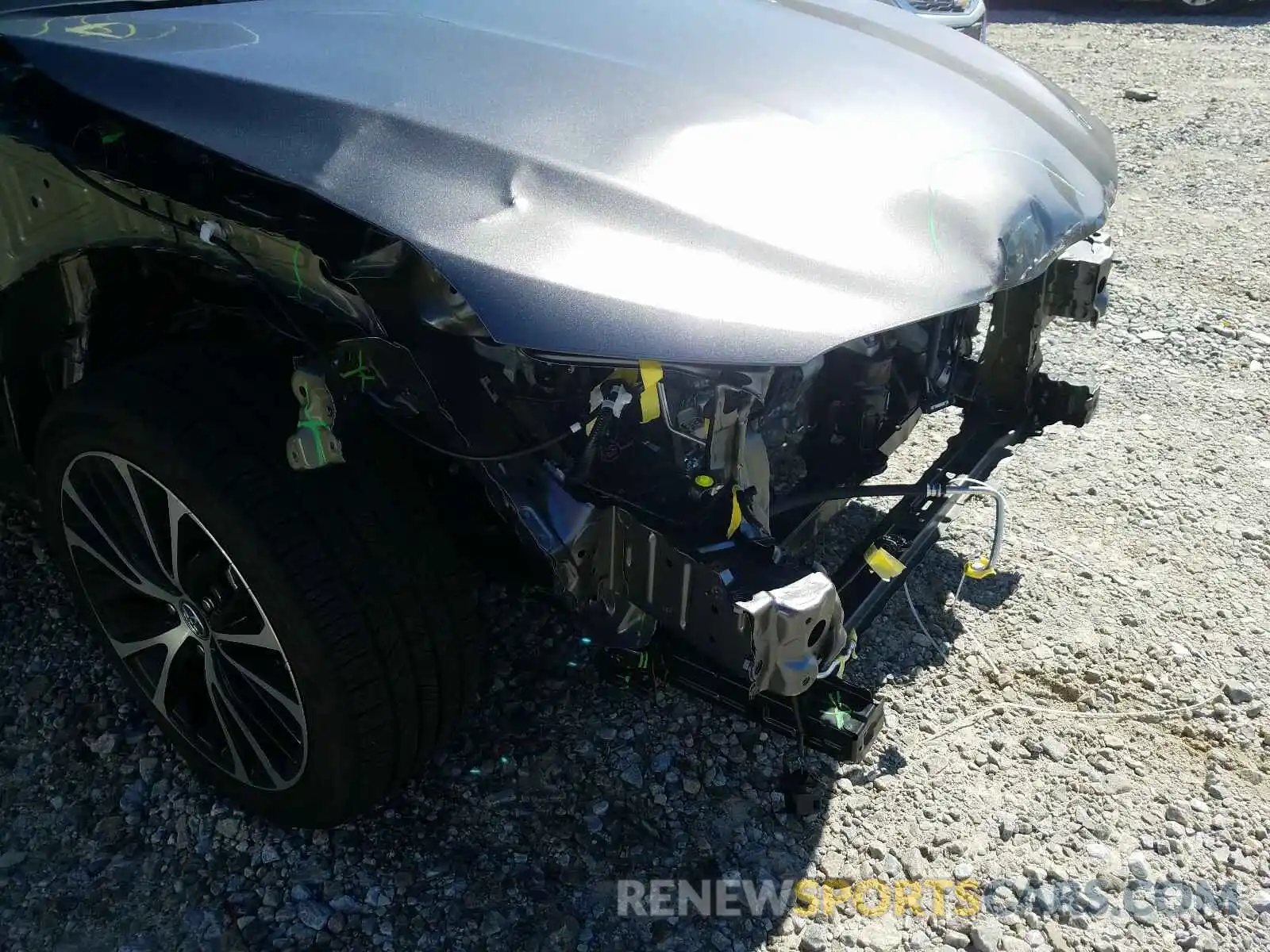 9 Photograph of a damaged car 4T1B11HK6KU830233 TOYOTA CAMRY 2019