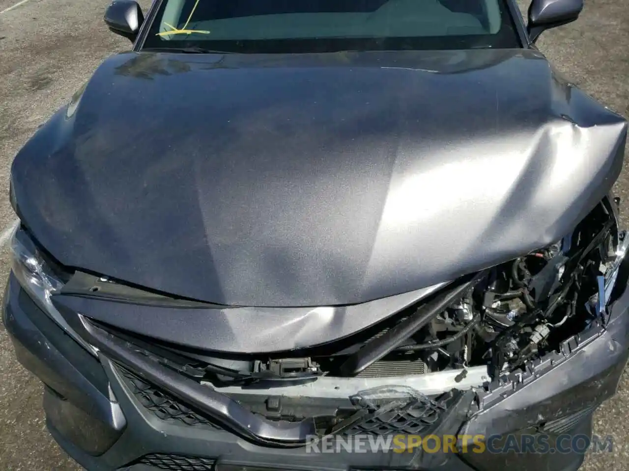 7 Photograph of a damaged car 4T1B11HK6KU838980 TOYOTA CAMRY 2019