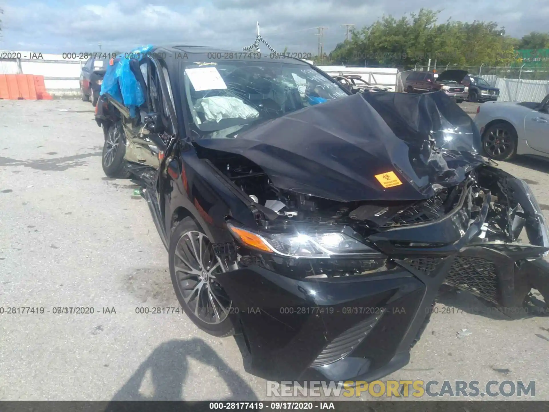 12 Photograph of a damaged car 4T1B11HK6KU854984 TOYOTA CAMRY 2019