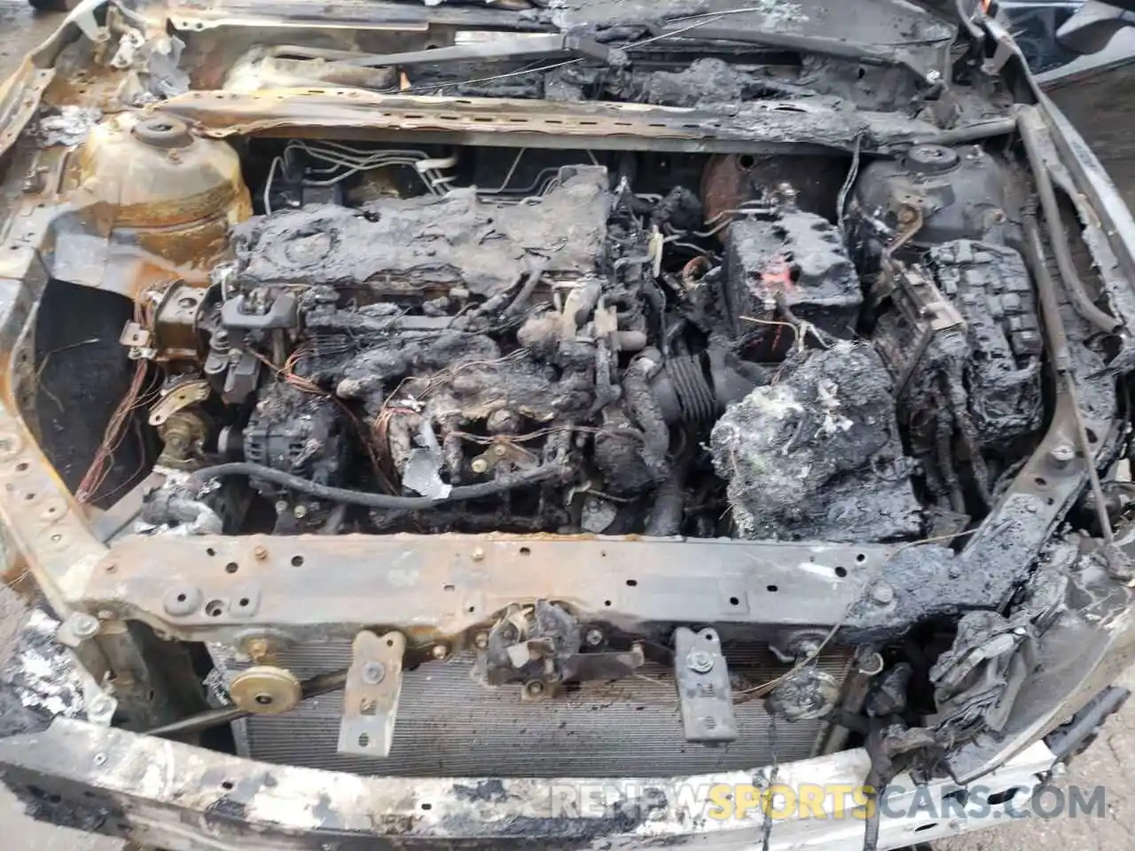 7 Photograph of a damaged car 4T1B11HK7KU183972 TOYOTA CAMRY 2019