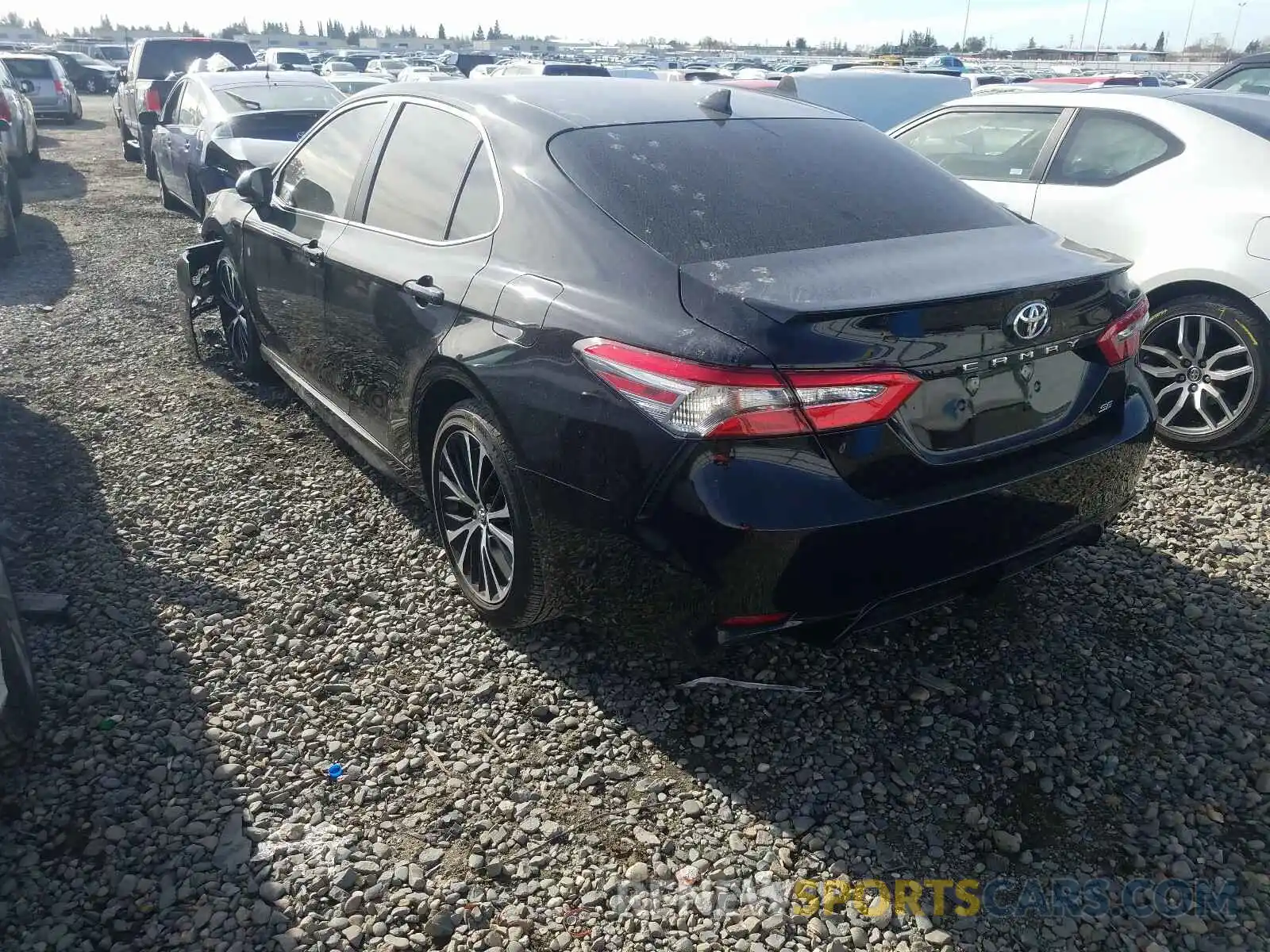 3 Photograph of a damaged car 4T1B11HK7KU188816 TOYOTA CAMRY 2019