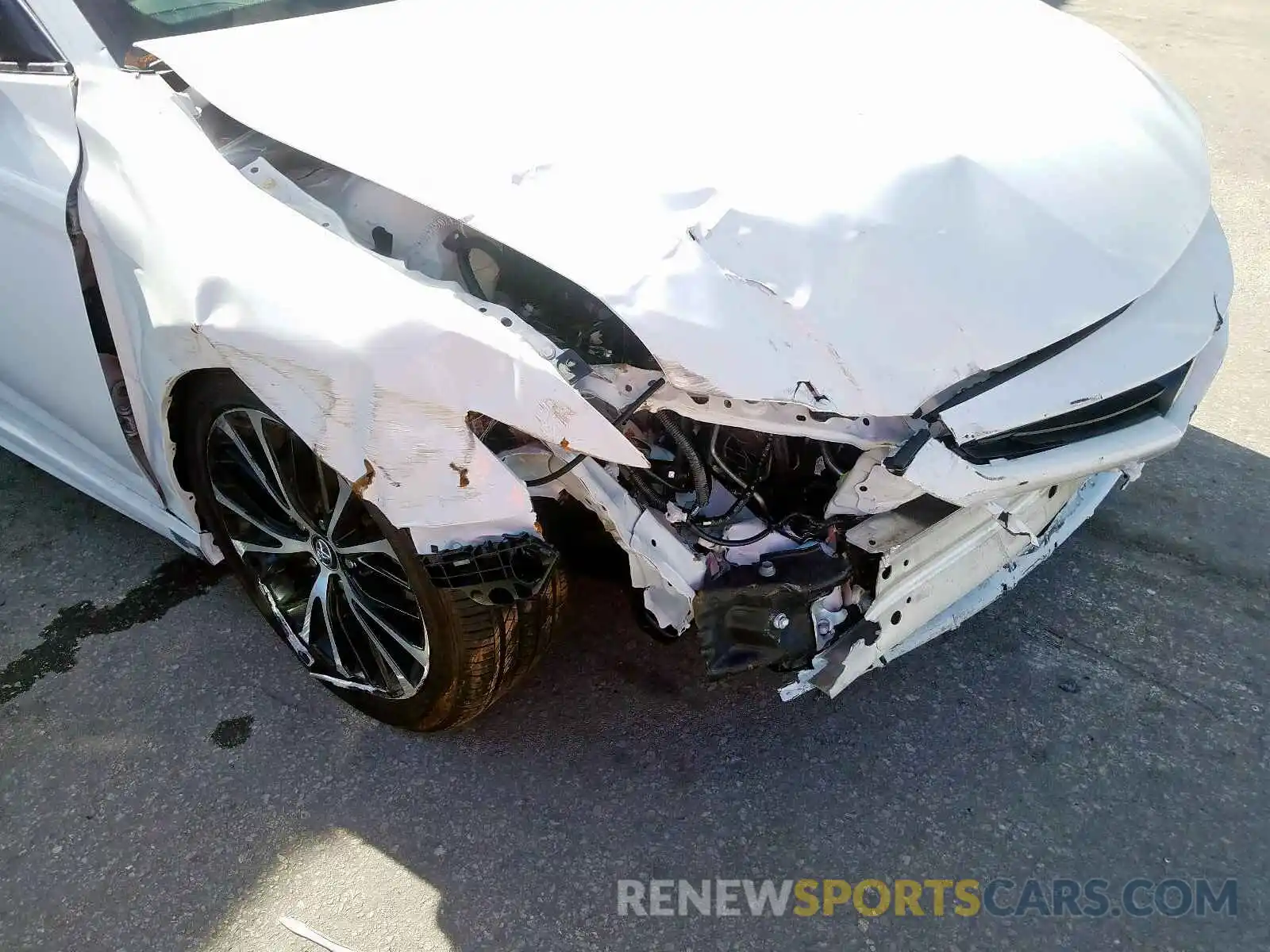 9 Photograph of a damaged car 4T1B11HK7KU213651 TOYOTA CAMRY 2019