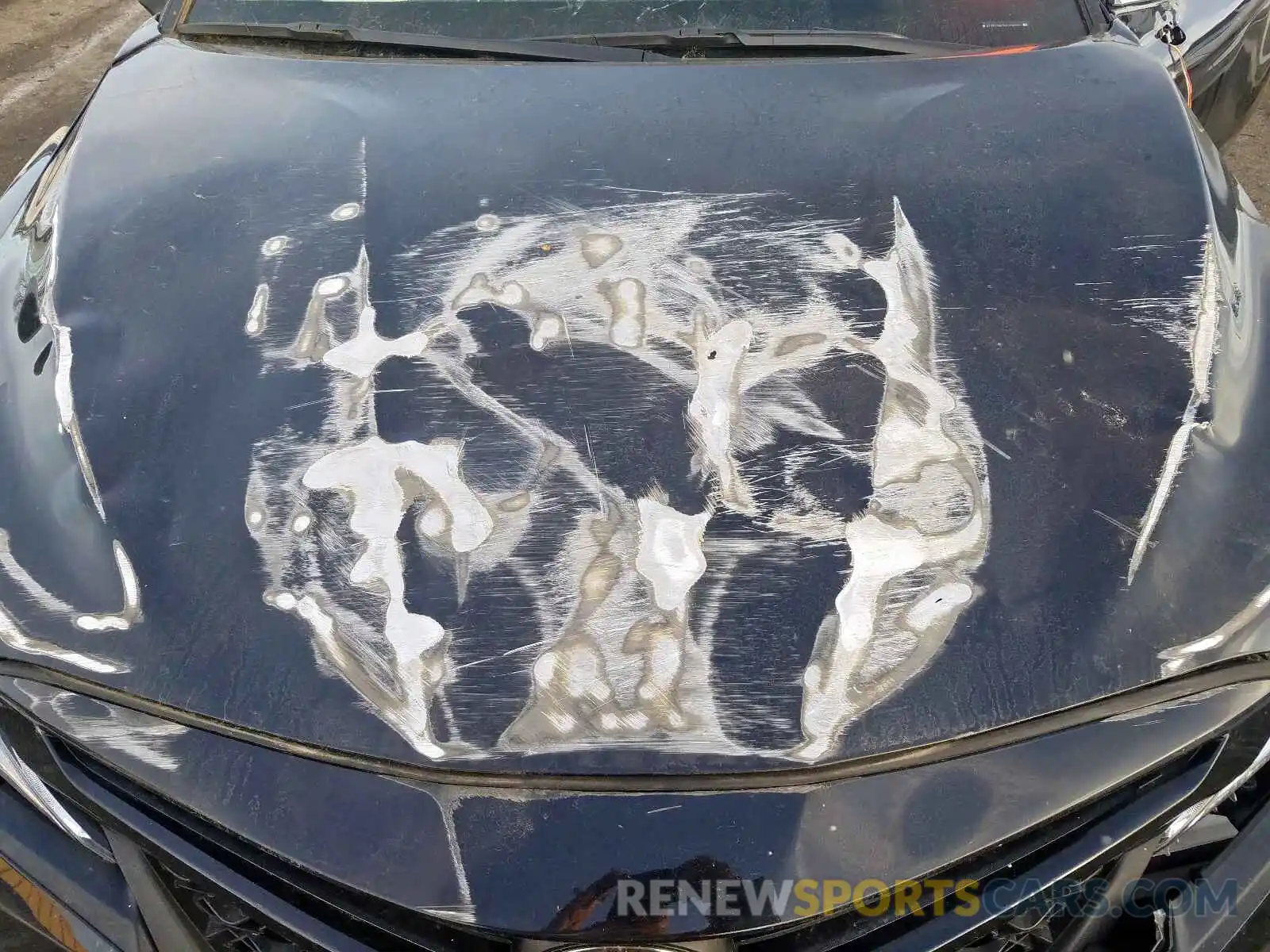 7 Photograph of a damaged car 4T1B11HK7KU230272 TOYOTA CAMRY 2019