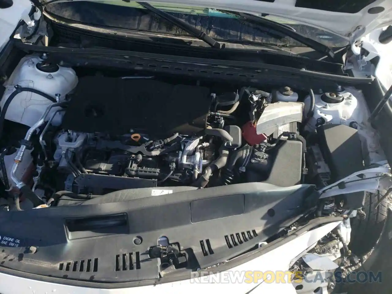 7 Photograph of a damaged car 4T1B11HK7KU231387 TOYOTA CAMRY 2019