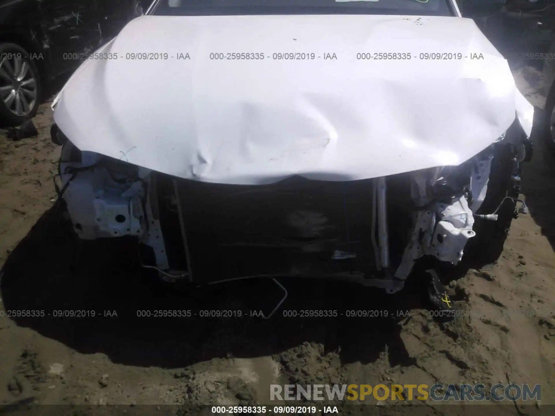 6 Photograph of a damaged car 4T1B11HK7KU234290 TOYOTA CAMRY 2019