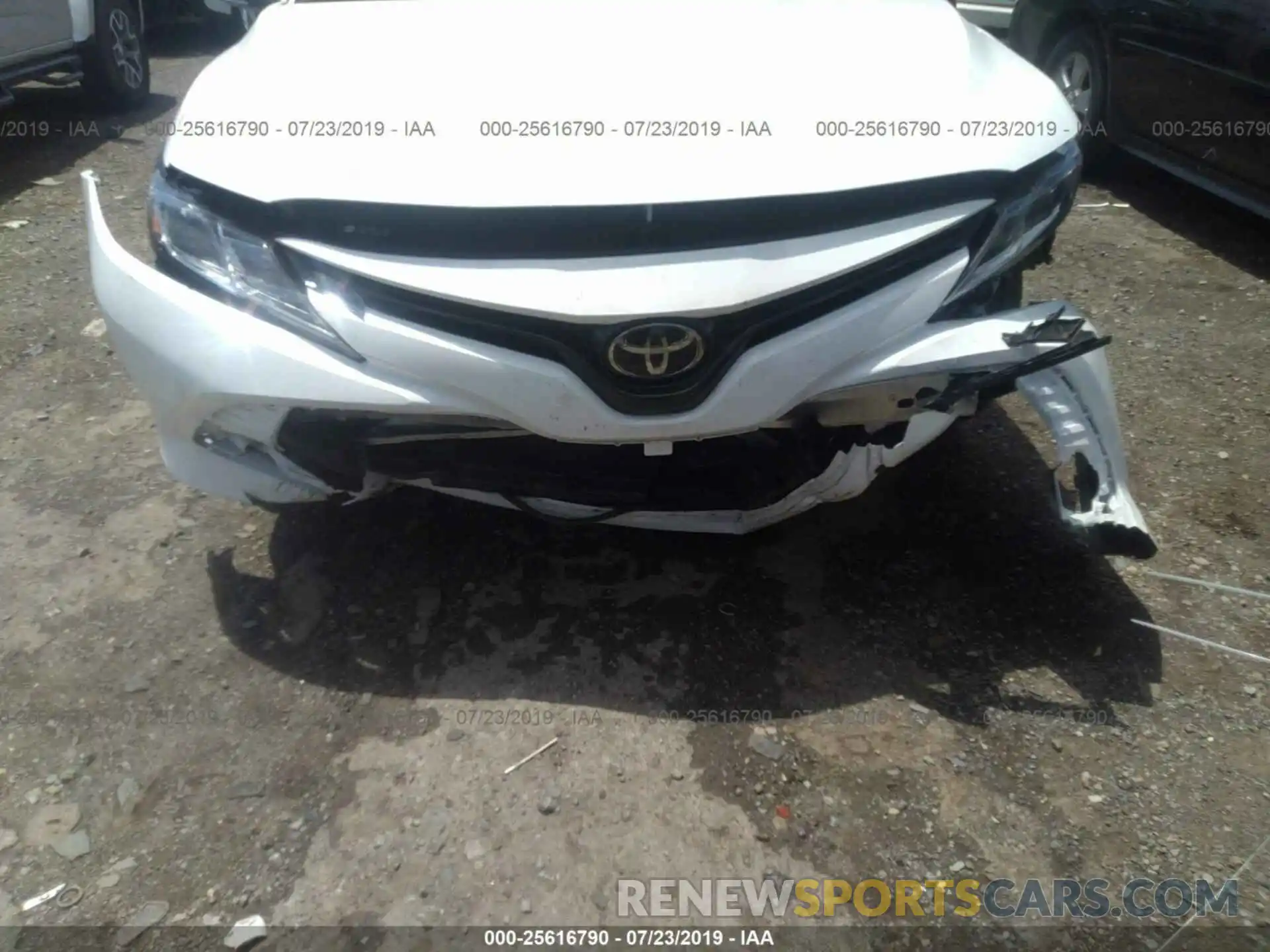 6 Photograph of a damaged car 4T1B11HK7KU244950 TOYOTA CAMRY 2019