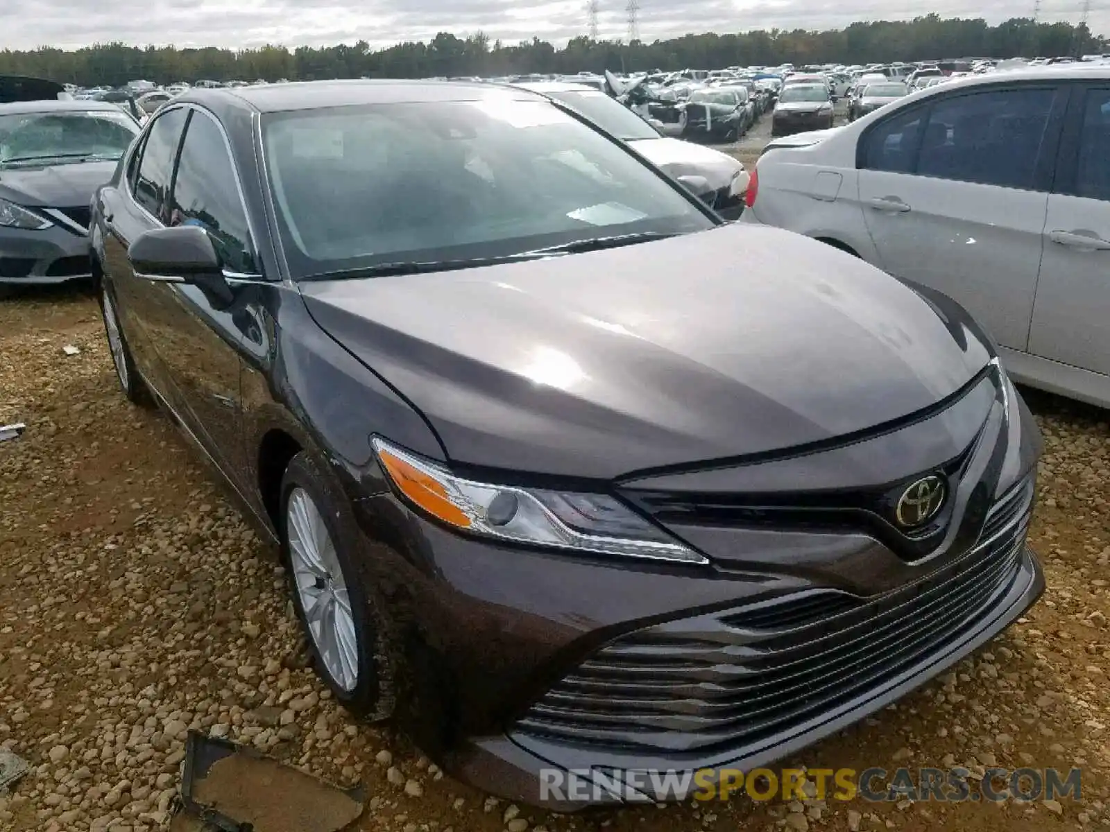 1 Photograph of a damaged car 4T1B11HK7KU250067 TOYOTA CAMRY 2019