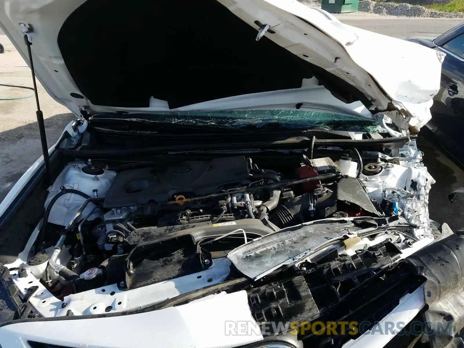 7 Photograph of a damaged car 4T1B11HK7KU275101 TOYOTA CAMRY 2019