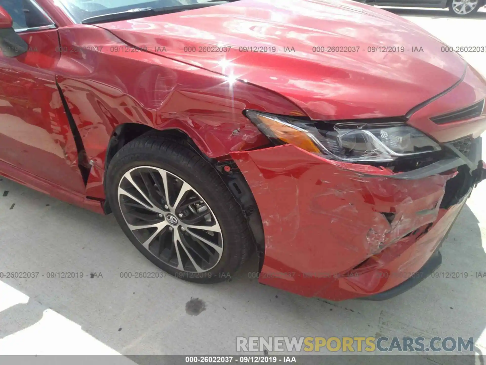 6 Photograph of a damaged car 4T1B11HK7KU275468 TOYOTA CAMRY 2019