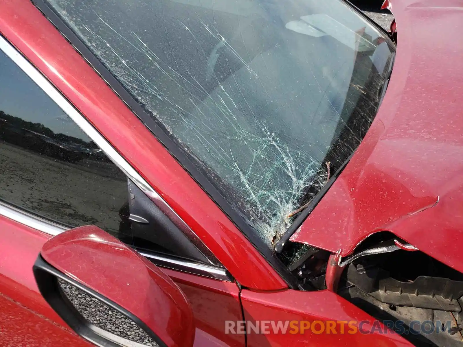 9 Photograph of a damaged car 4T1B11HK7KU299673 TOYOTA CAMRY 2019