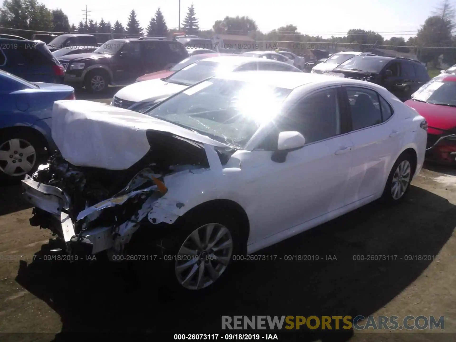 2 Photograph of a damaged car 4T1B11HK7KU680665 TOYOTA CAMRY 2019