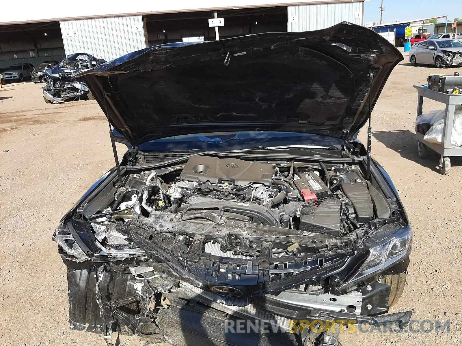 7 Photograph of a damaged car 4T1B11HK7KU697174 TOYOTA CAMRY 2019