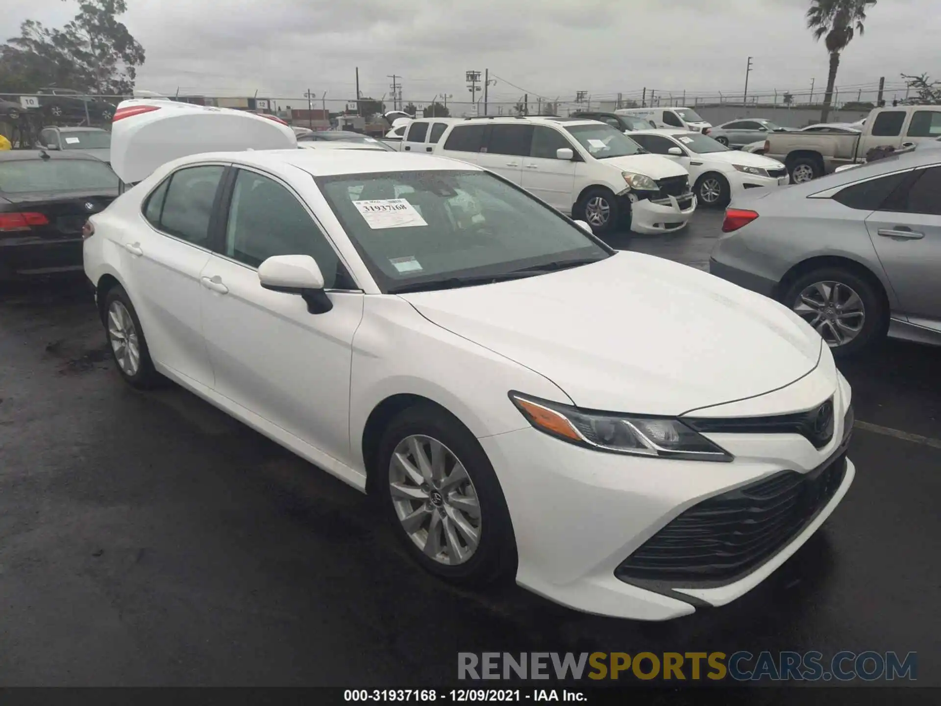 1 Photograph of a damaged car 4T1B11HK7KU726463 TOYOTA CAMRY 2019