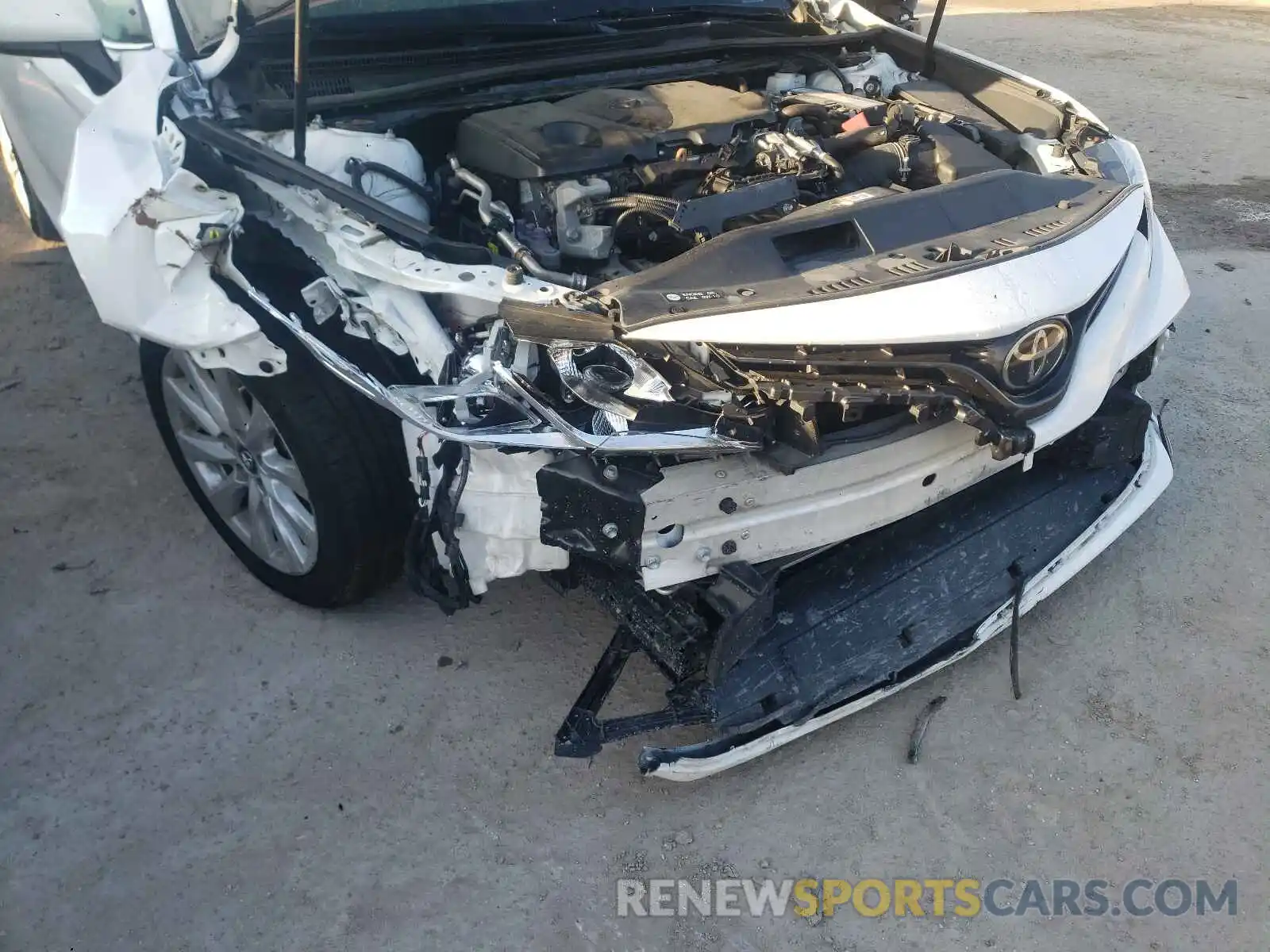 9 Photograph of a damaged car 4T1B11HK7KU744431 TOYOTA CAMRY 2019