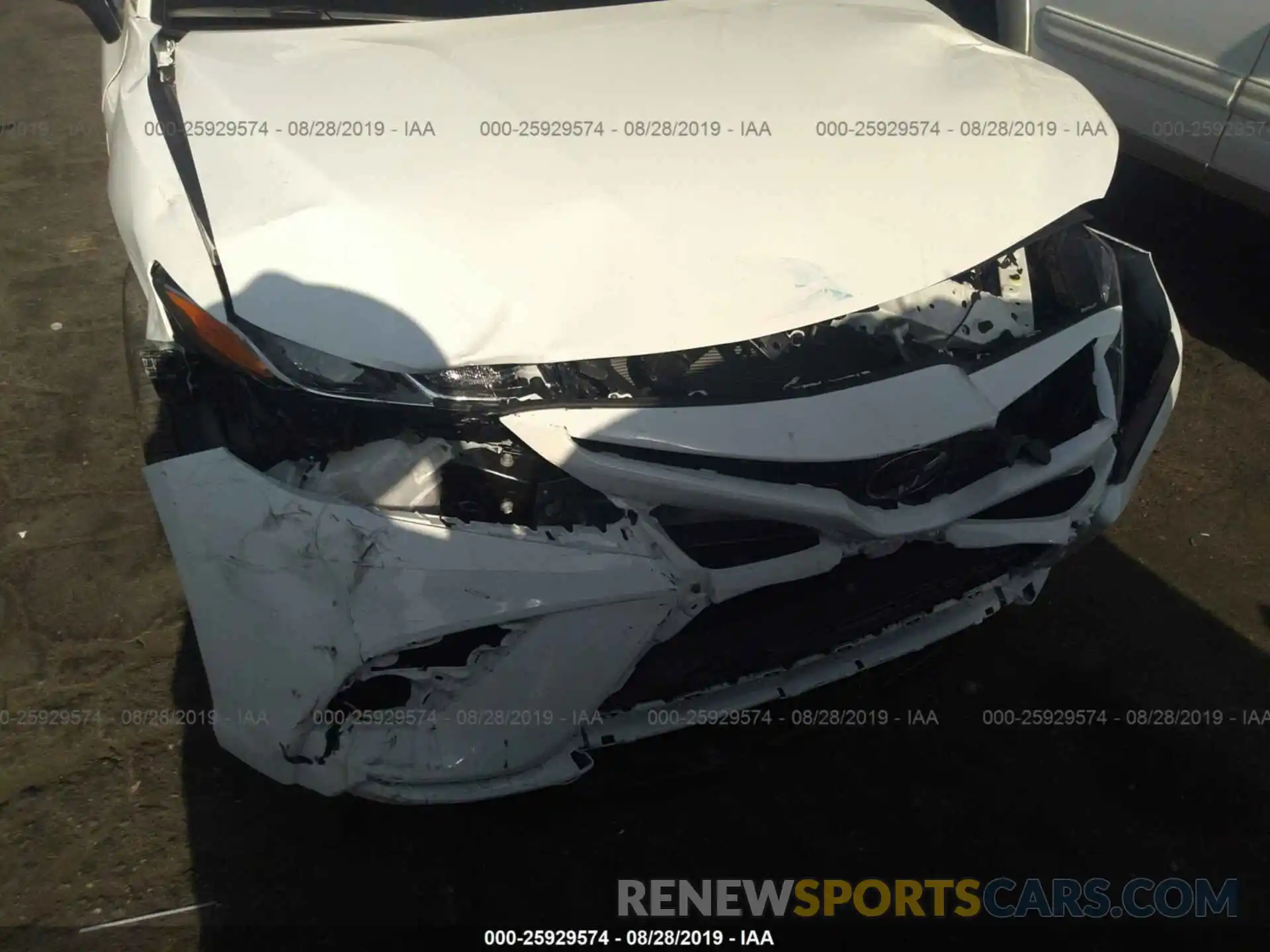 6 Photograph of a damaged car 4T1B11HK7KU746793 TOYOTA CAMRY 2019