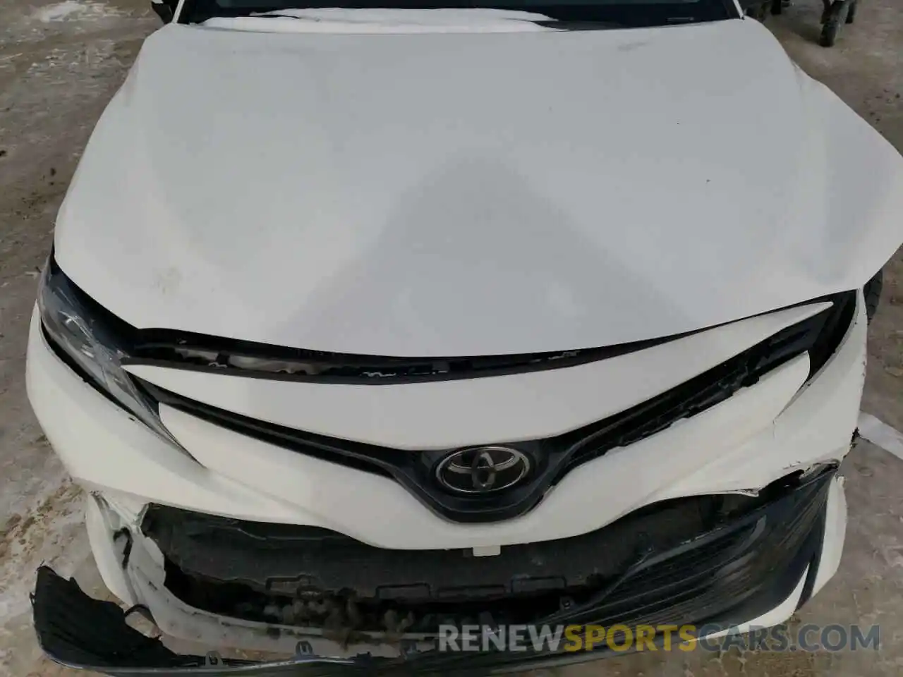 7 Photograph of a damaged car 4T1B11HK7KU788560 TOYOTA CAMRY 2019