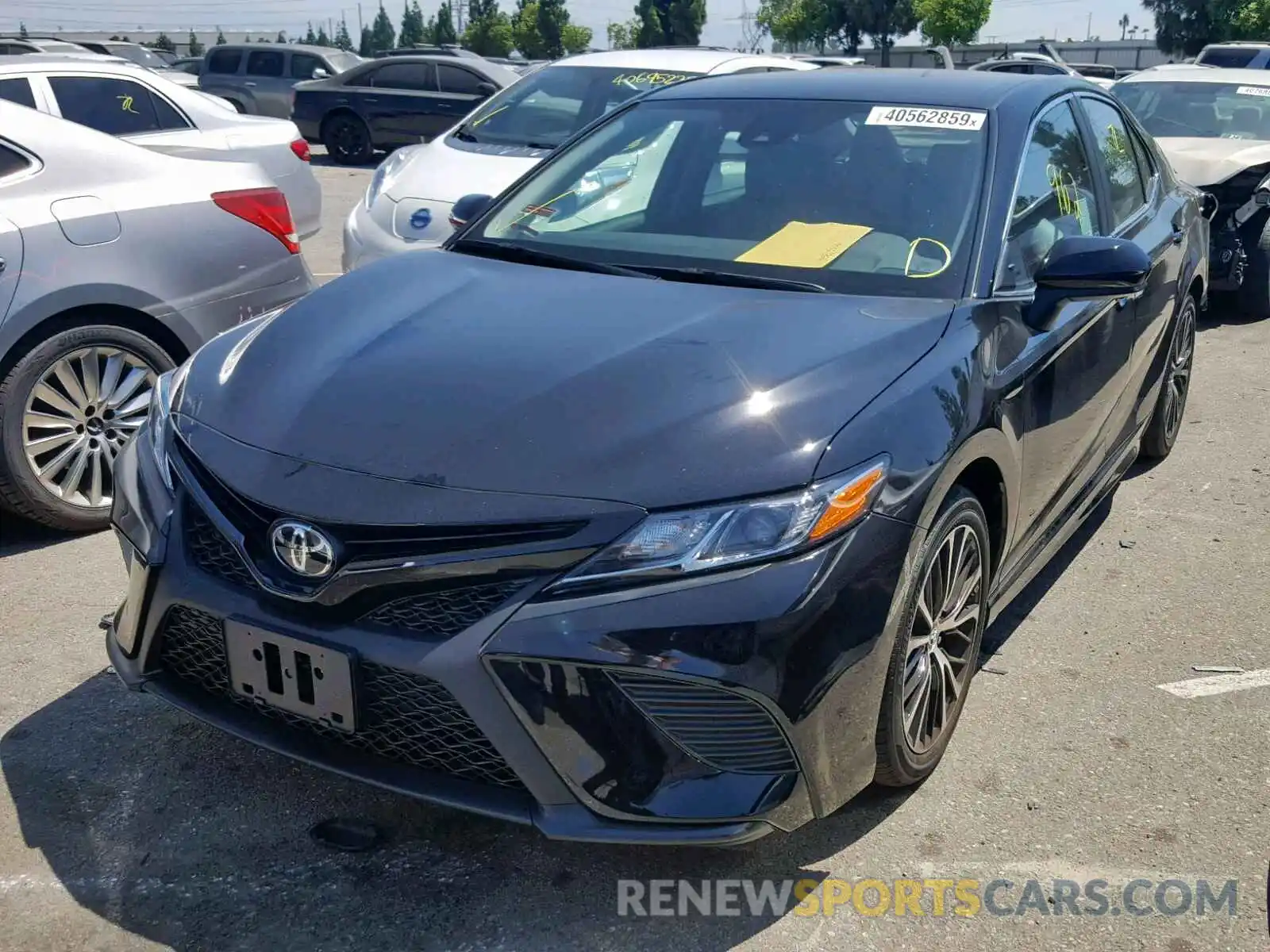 2 Photograph of a damaged car 4T1B11HK7KU791605 TOYOTA CAMRY 2019