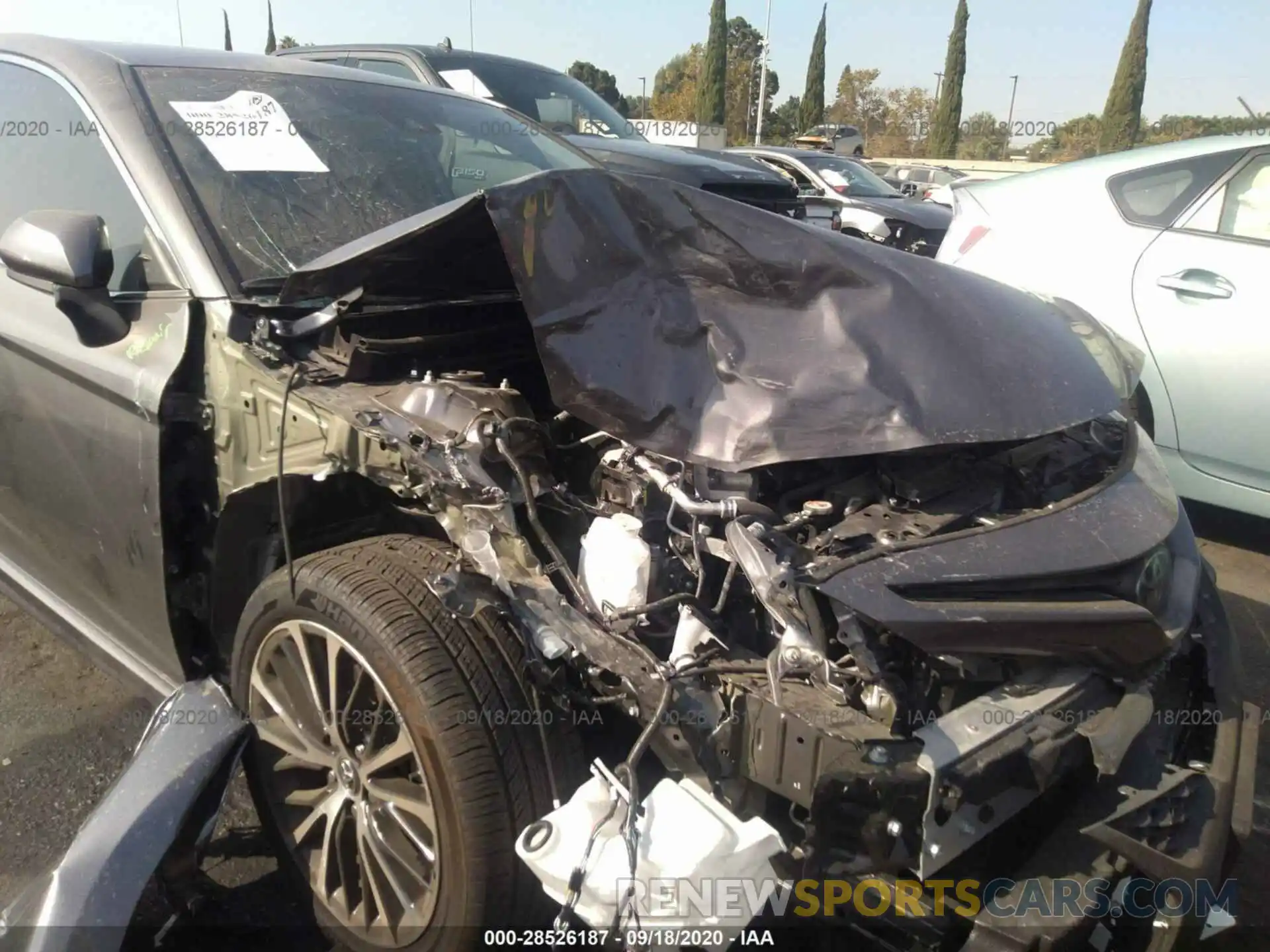 6 Photograph of a damaged car 4T1B11HK7KU797954 TOYOTA CAMRY 2019