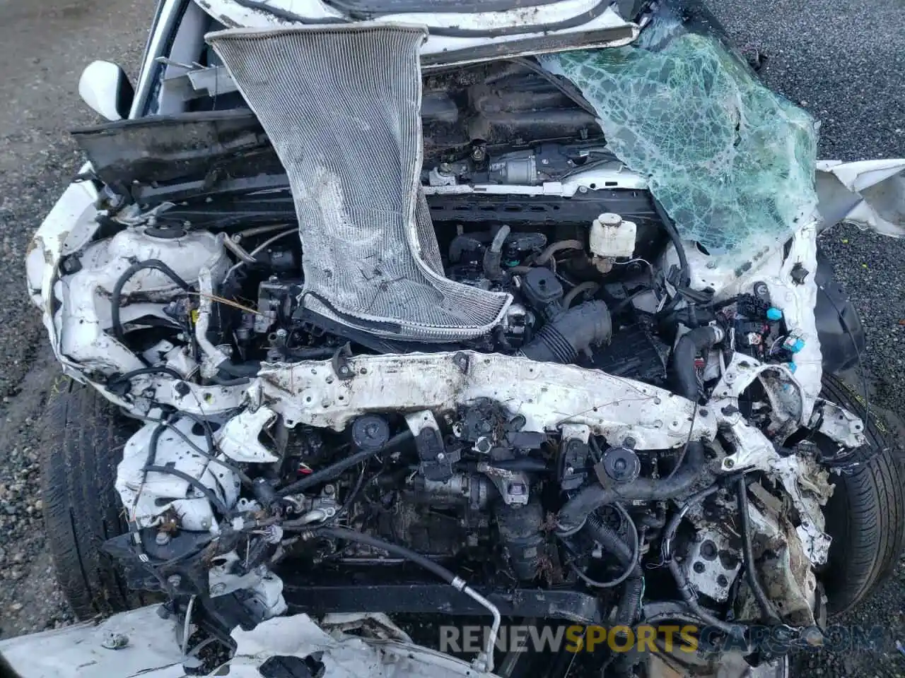 7 Photograph of a damaged car 4T1B11HK7KU801291 TOYOTA CAMRY 2019