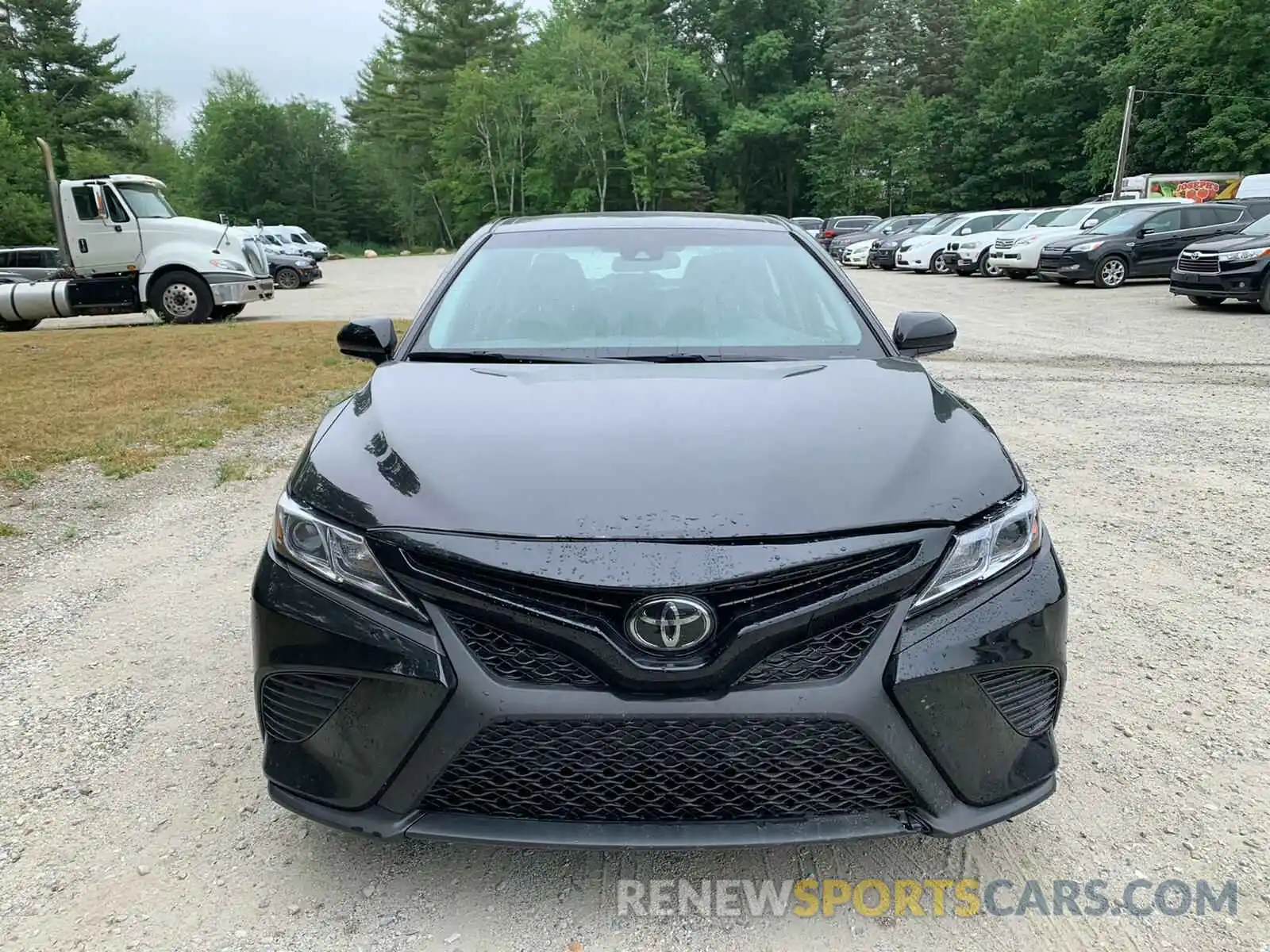 8 Photograph of a damaged car 4T1B11HK7KU804451 TOYOTA CAMRY 2019