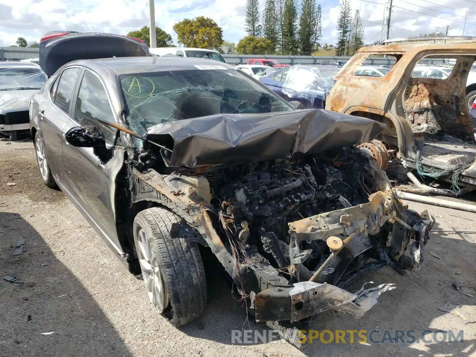1 Photograph of a damaged car 4T1B11HK7KU817555 TOYOTA CAMRY 2019