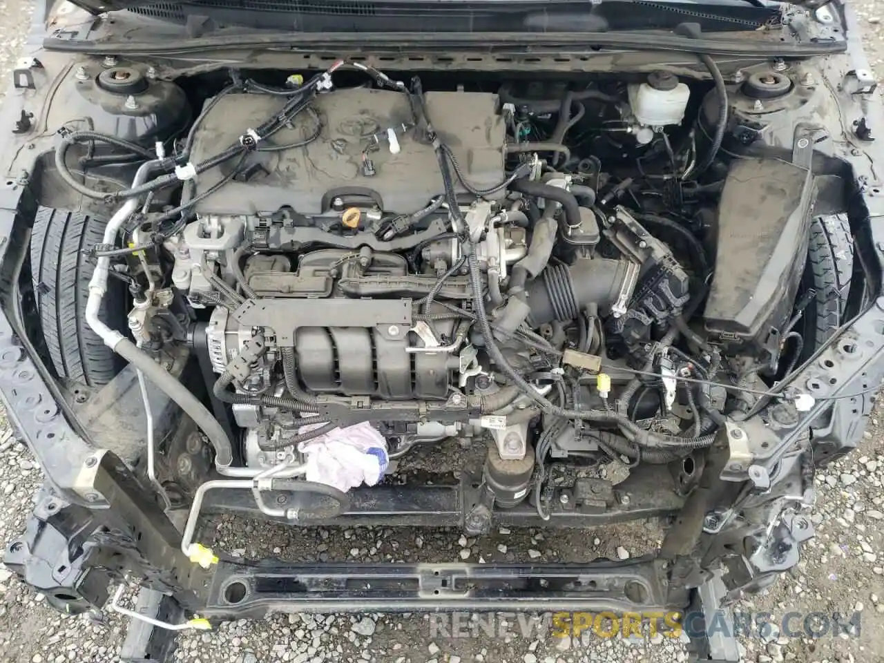 11 Photograph of a damaged car 4T1B11HK7KU831326 TOYOTA CAMRY 2019