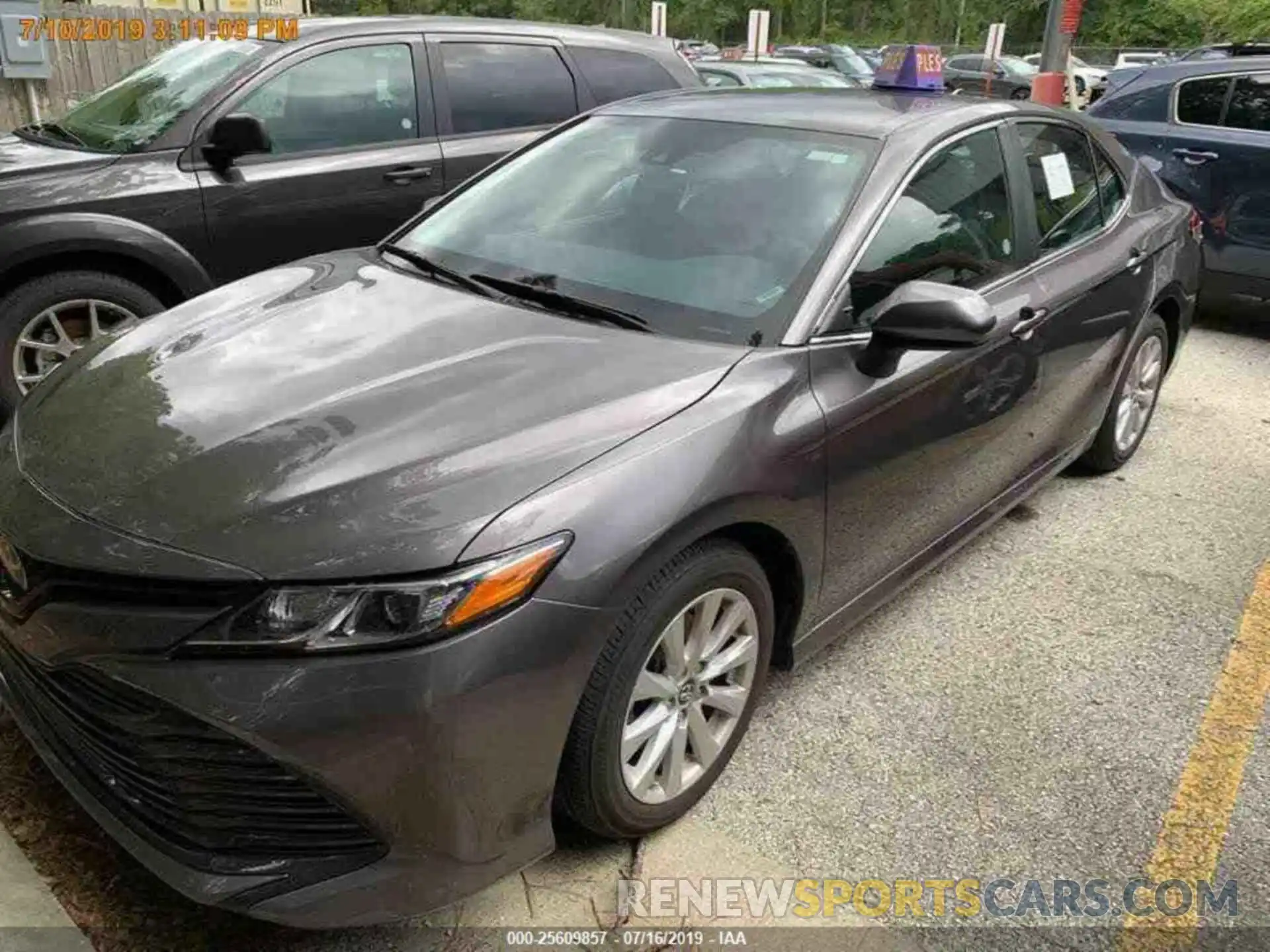 13 Photograph of a damaged car 4T1B11HK8KU195032 TOYOTA CAMRY 2019