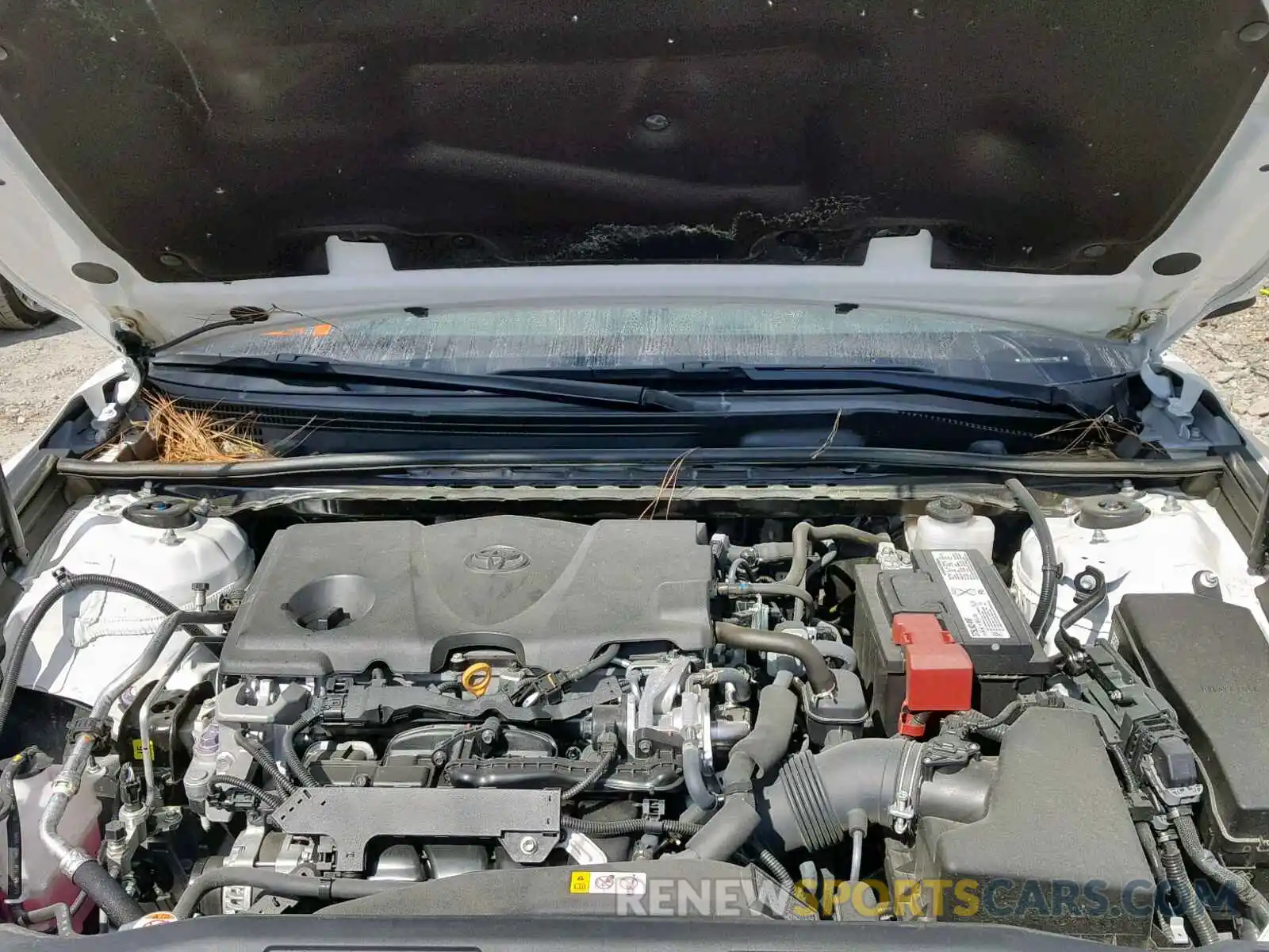 7 Photograph of a damaged car 4T1B11HK8KU221967 TOYOTA CAMRY 2019