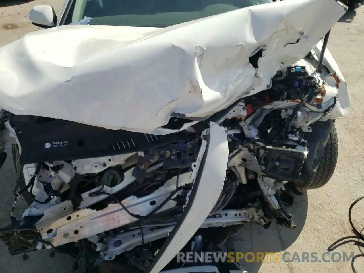 7 Photograph of a damaged car 4T1B11HK8KU248358 TOYOTA CAMRY 2019