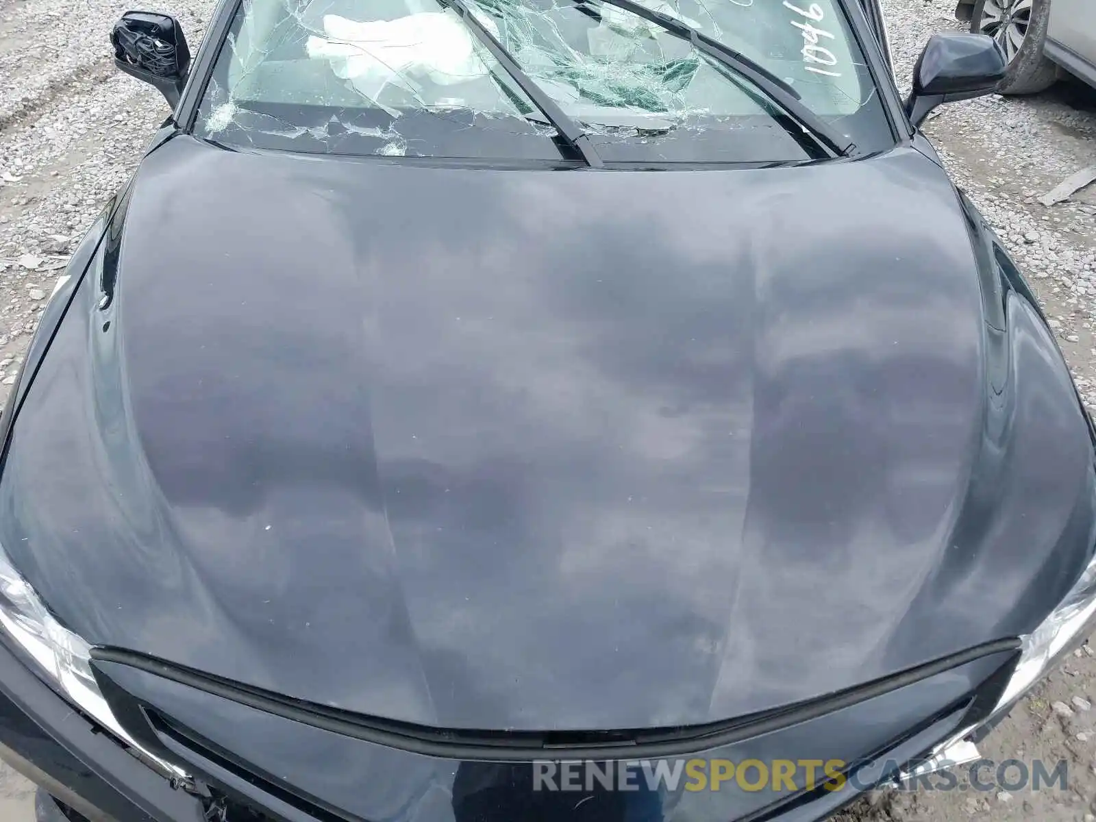 7 Photograph of a damaged car 4T1B11HK8KU253415 TOYOTA CAMRY 2019