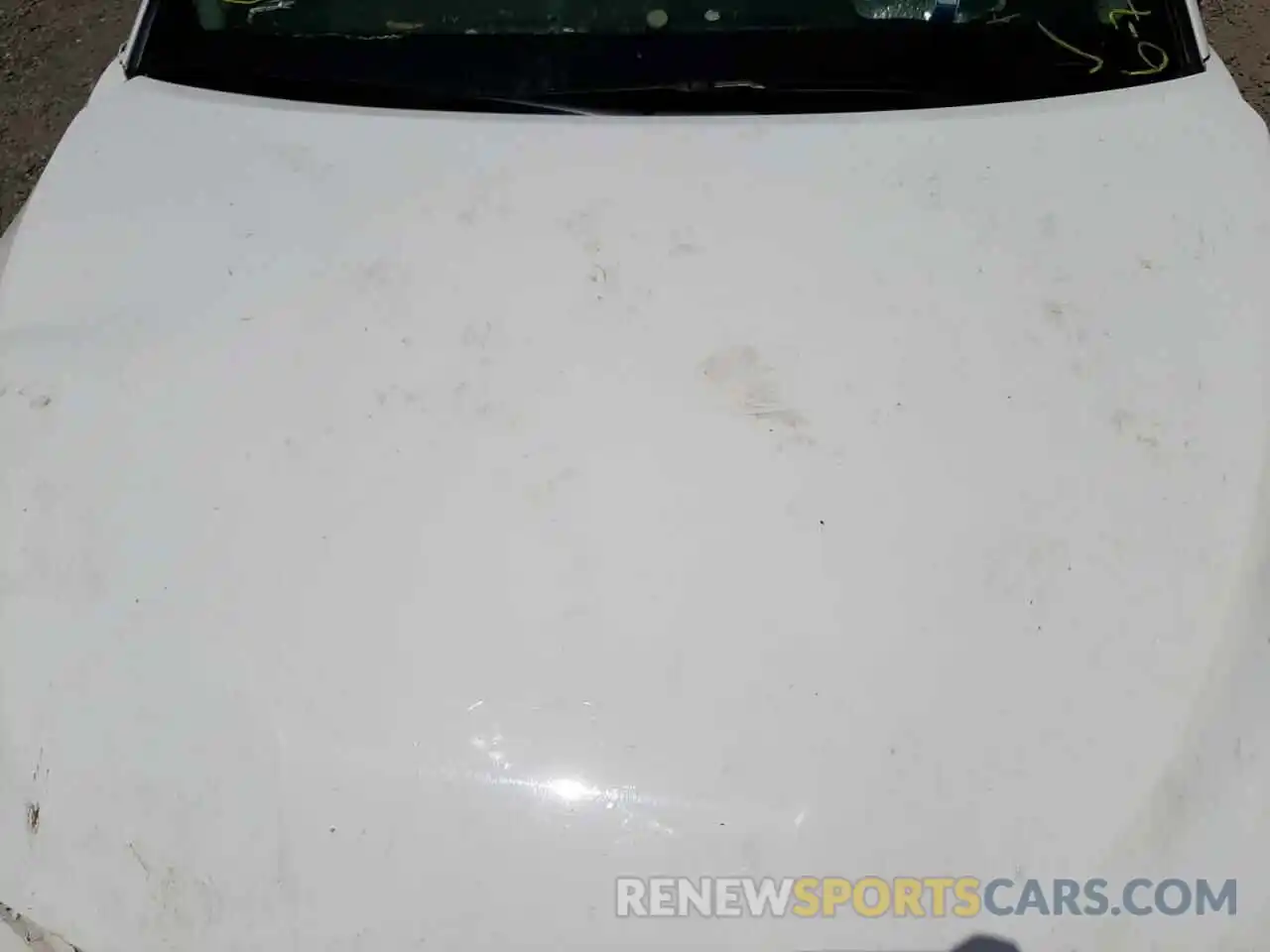 7 Photograph of a damaged car 4T1B11HK8KU262924 TOYOTA CAMRY 2019