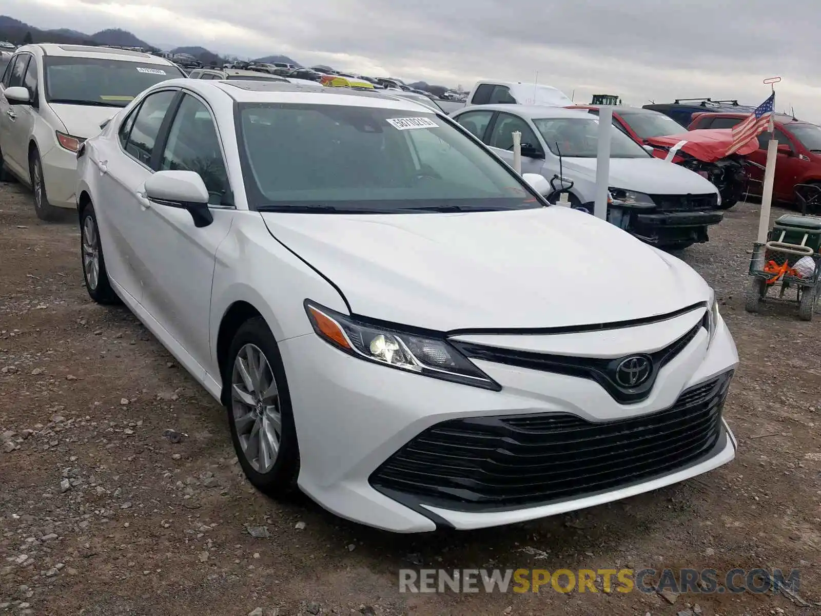 1 Photograph of a damaged car 4T1B11HK8KU275172 TOYOTA CAMRY 2019