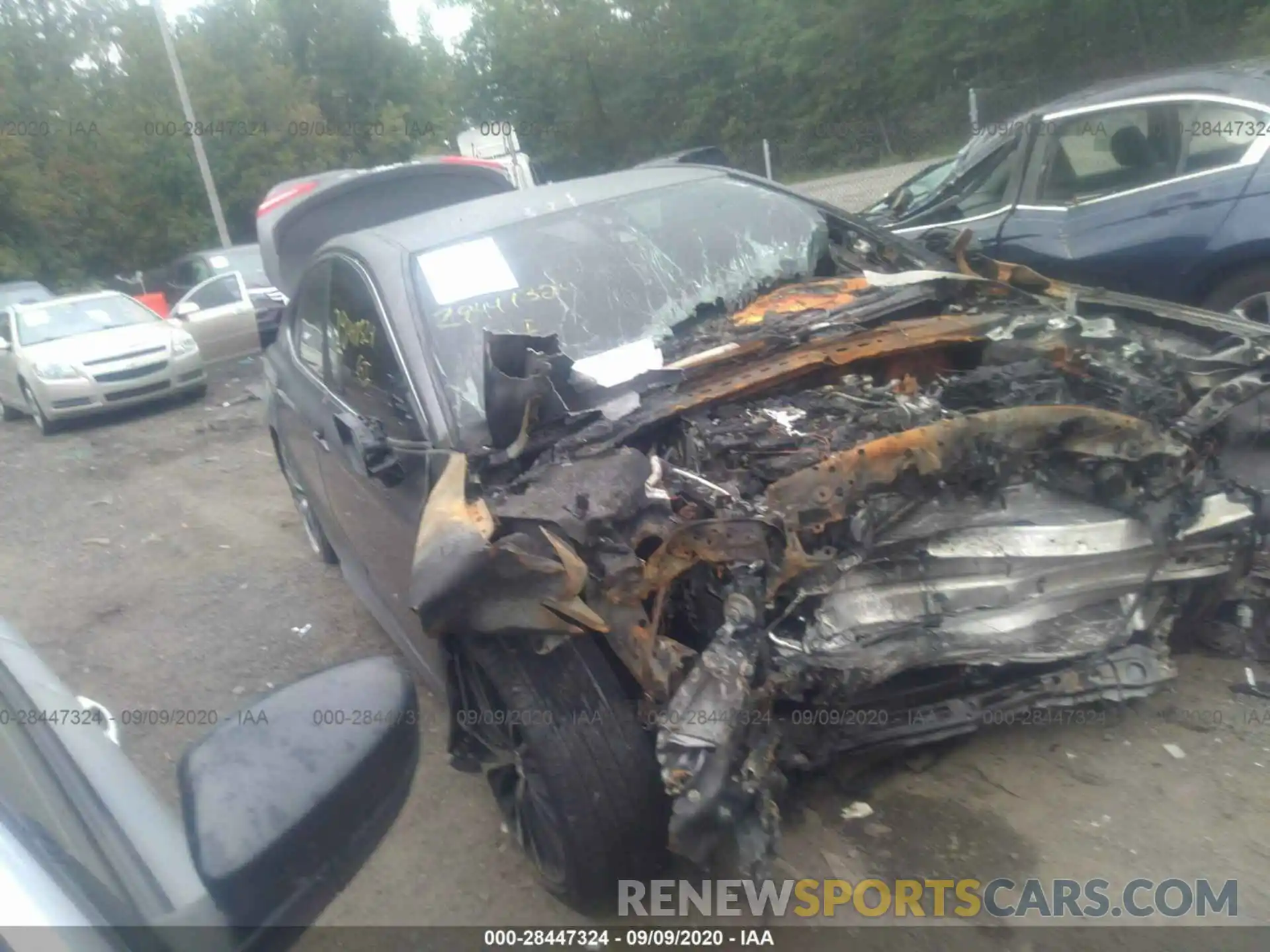 1 Photograph of a damaged car 4T1B11HK8KU292439 TOYOTA CAMRY 2019