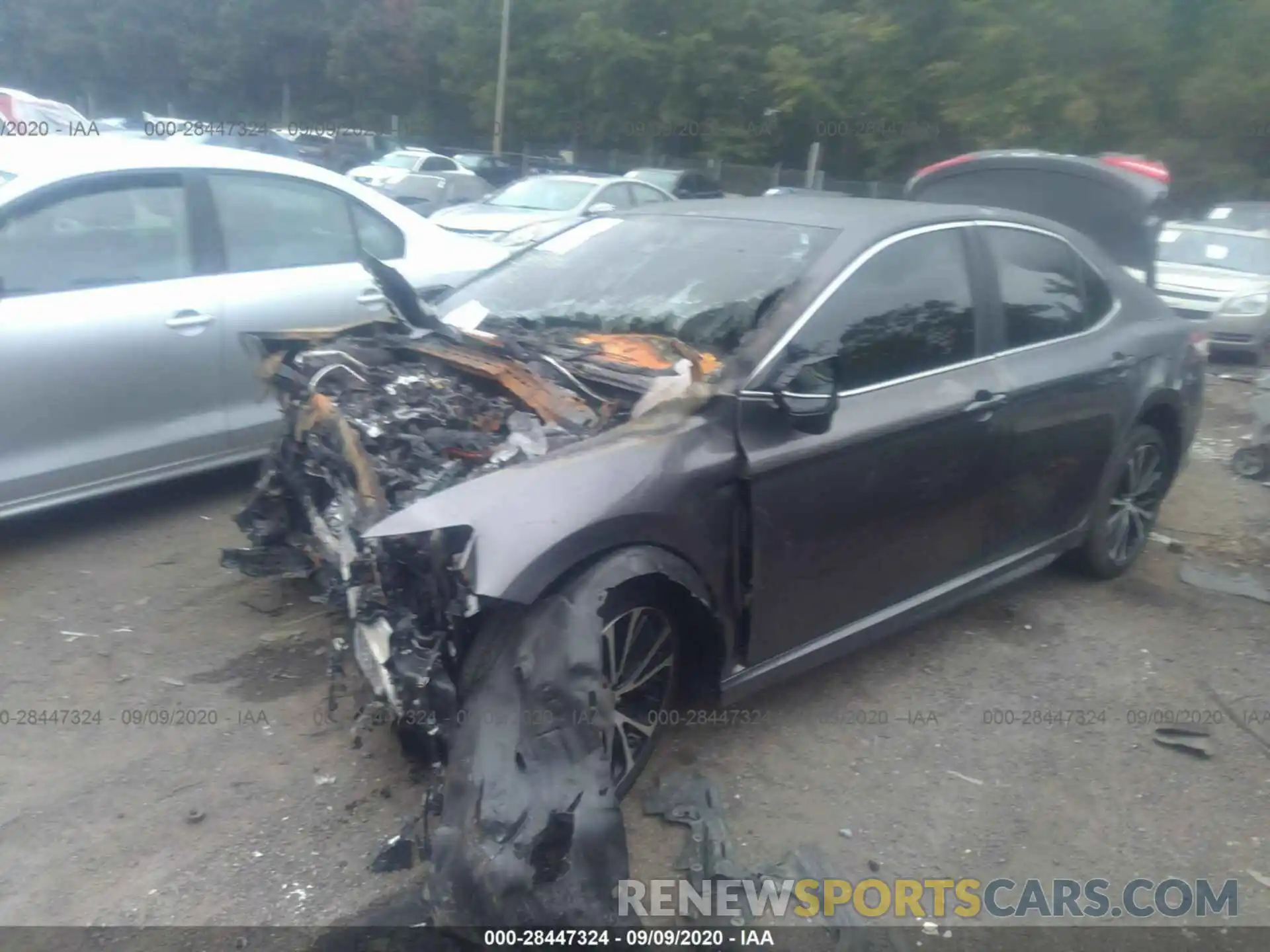 2 Photograph of a damaged car 4T1B11HK8KU292439 TOYOTA CAMRY 2019