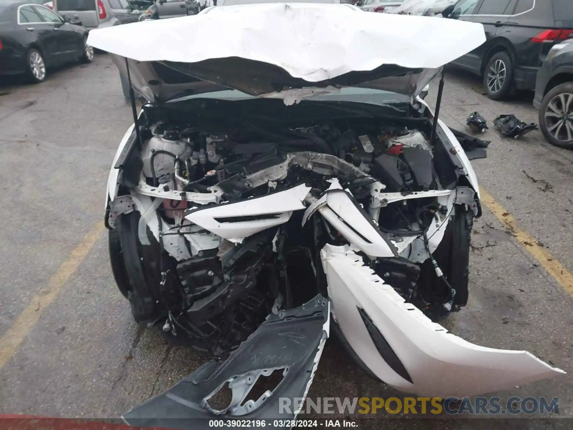 6 Photograph of a damaged car 4T1B11HK8KU680979 TOYOTA CAMRY 2019