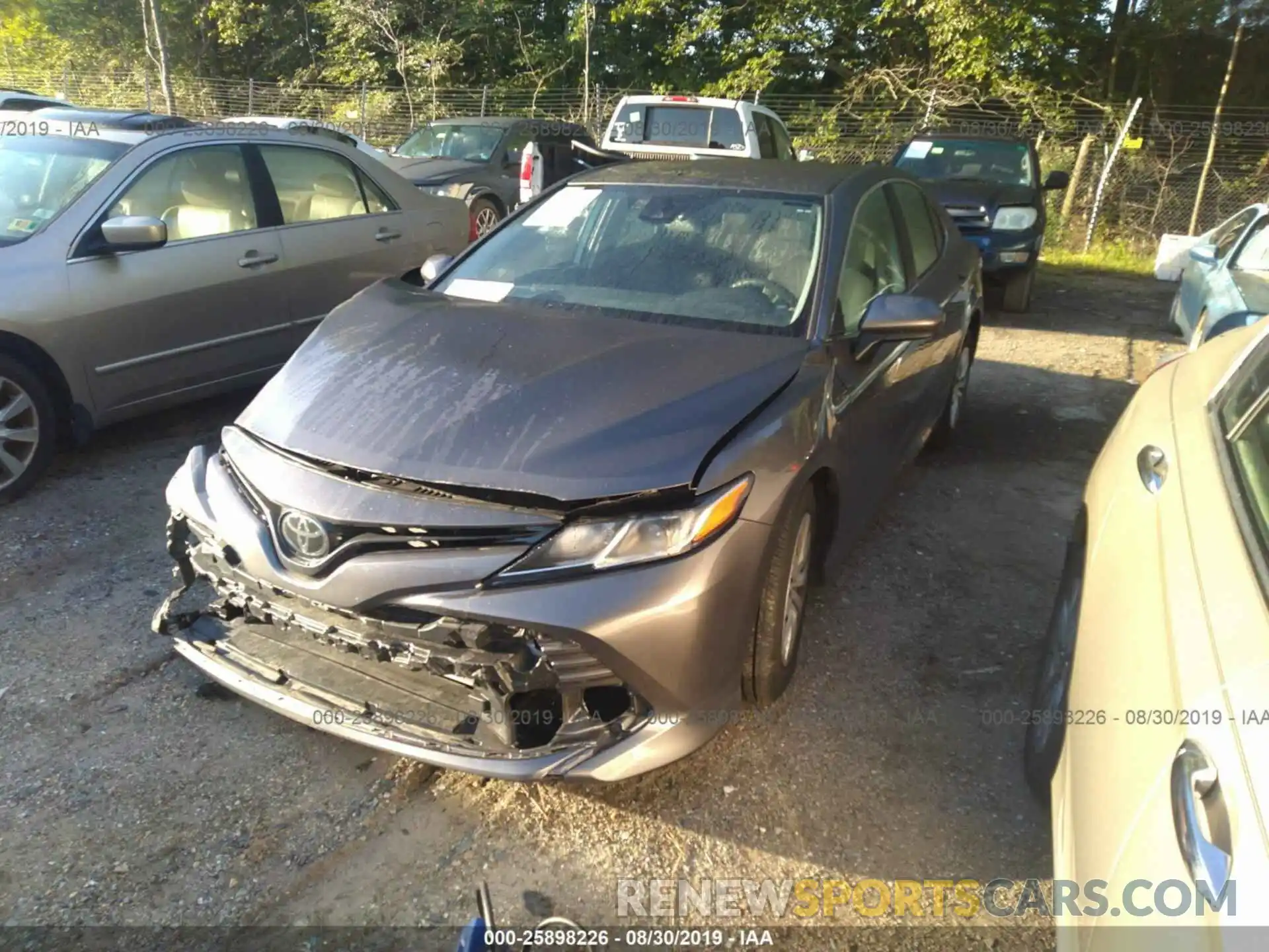 2 Photograph of a damaged car 4T1B11HK8KU695434 TOYOTA CAMRY 2019