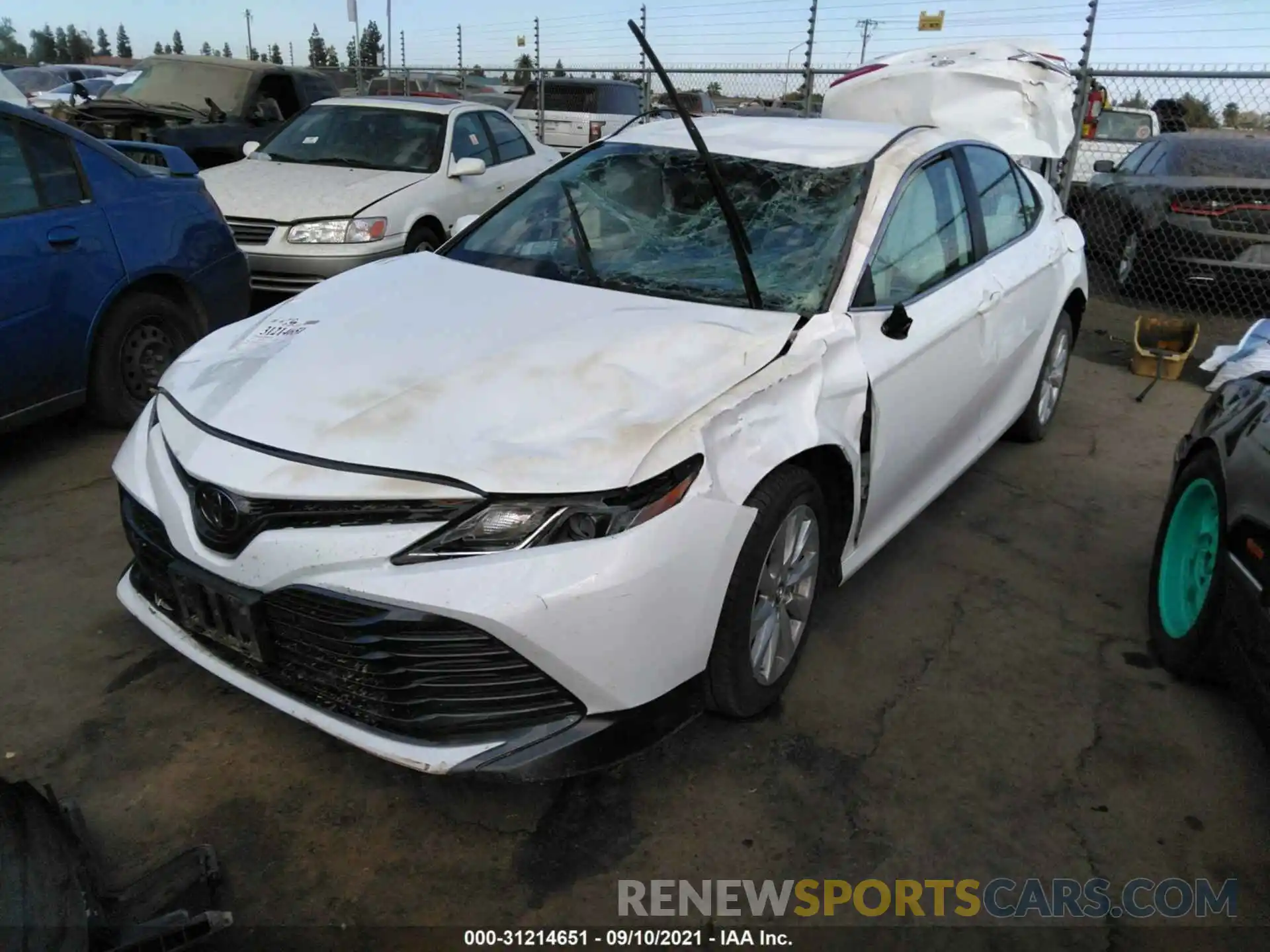 2 Photograph of a damaged car 4T1B11HK8KU729839 TOYOTA CAMRY 2019