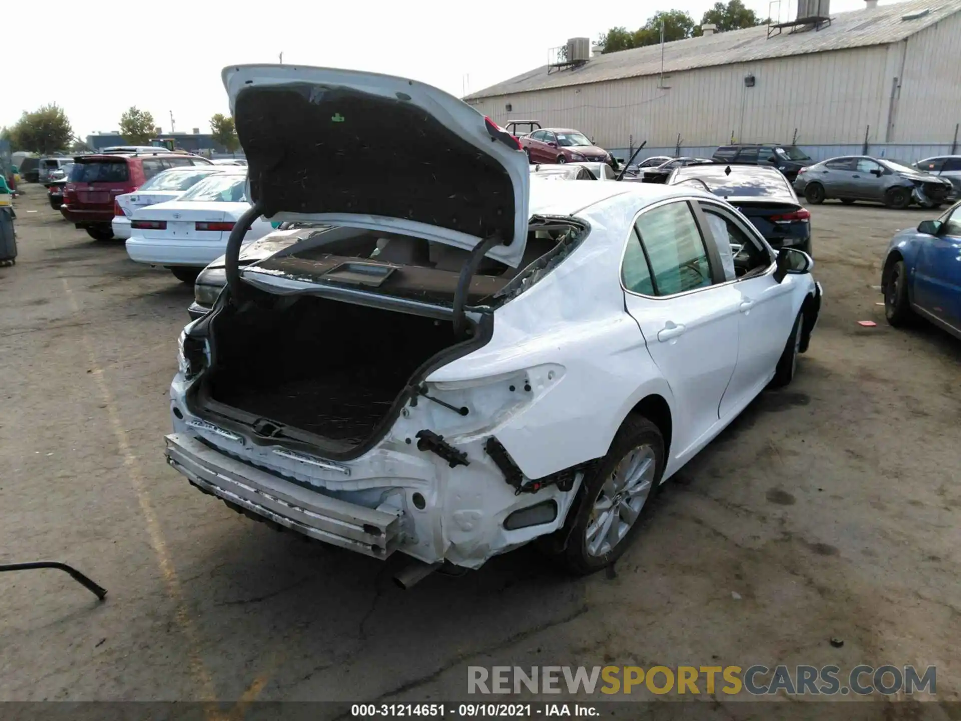 4 Photograph of a damaged car 4T1B11HK8KU729839 TOYOTA CAMRY 2019