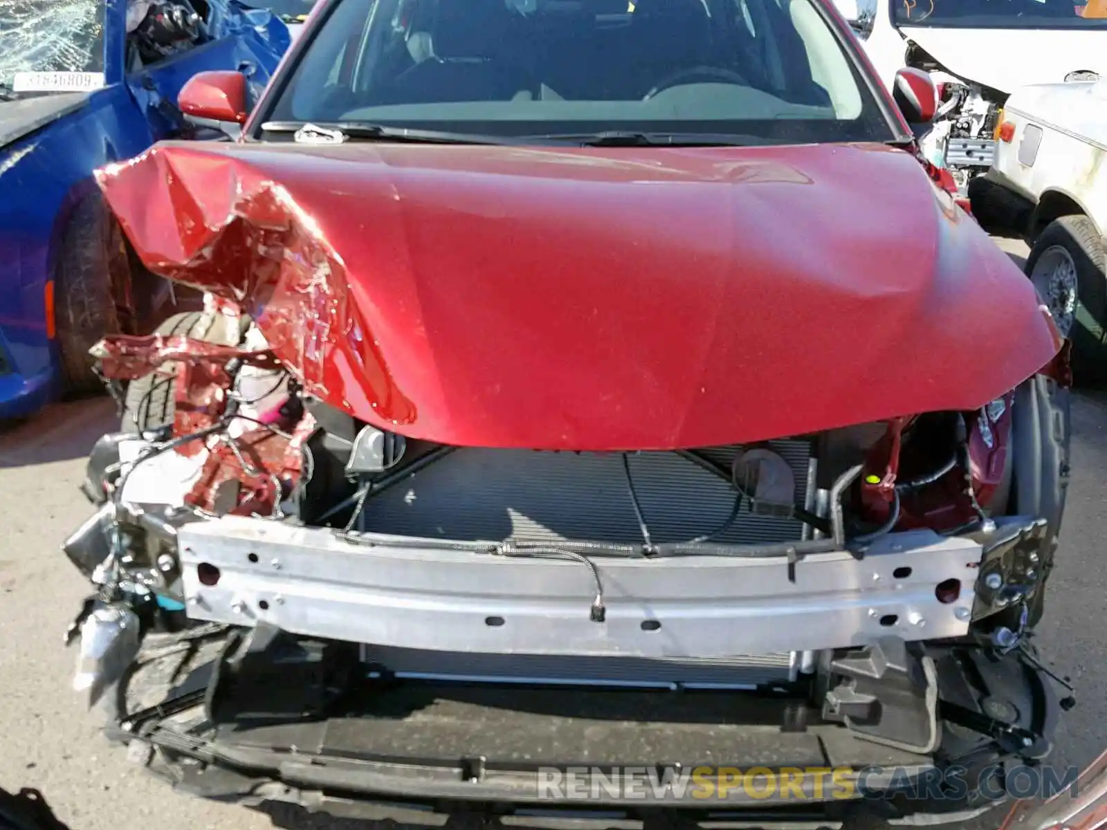 9 Photograph of a damaged car 4T1B11HK8KU731851 TOYOTA CAMRY 2019