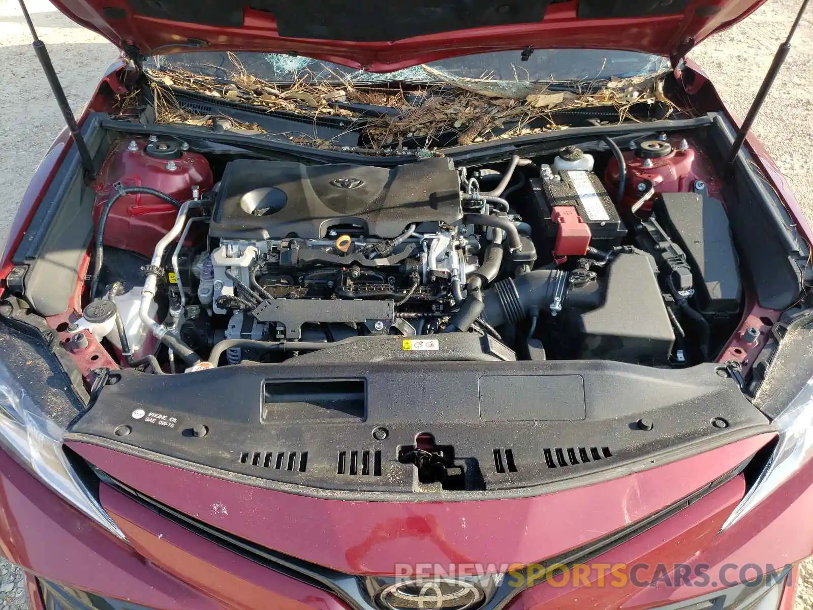 7 Photograph of a damaged car 4T1B11HK8KU759438 TOYOTA CAMRY 2019