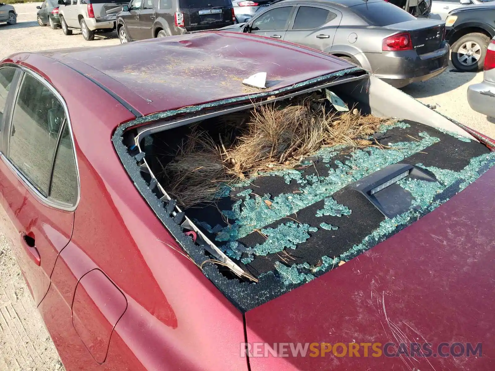 9 Photograph of a damaged car 4T1B11HK8KU759438 TOYOTA CAMRY 2019