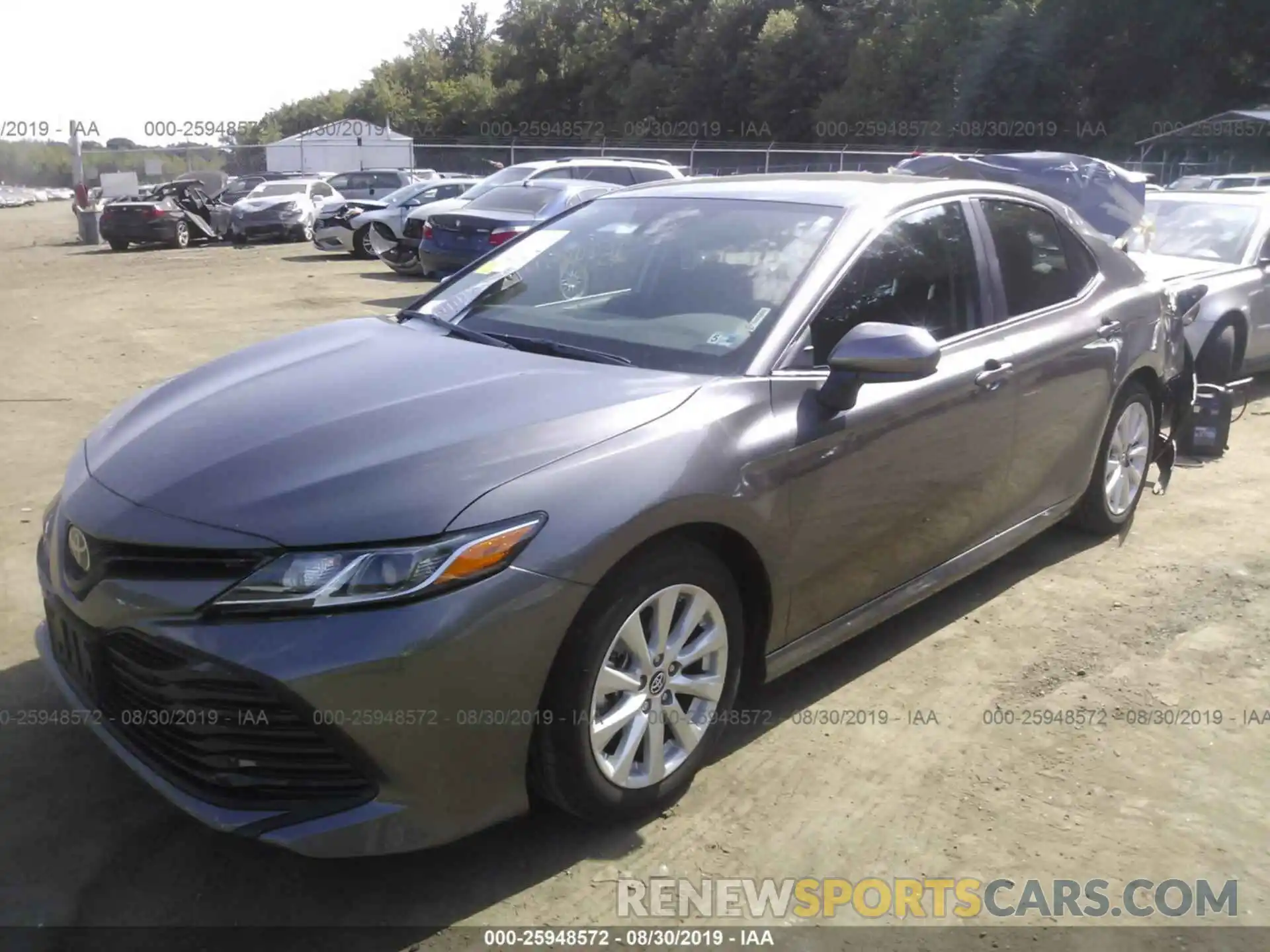 2 Photograph of a damaged car 4T1B11HK8KU780872 TOYOTA CAMRY 2019