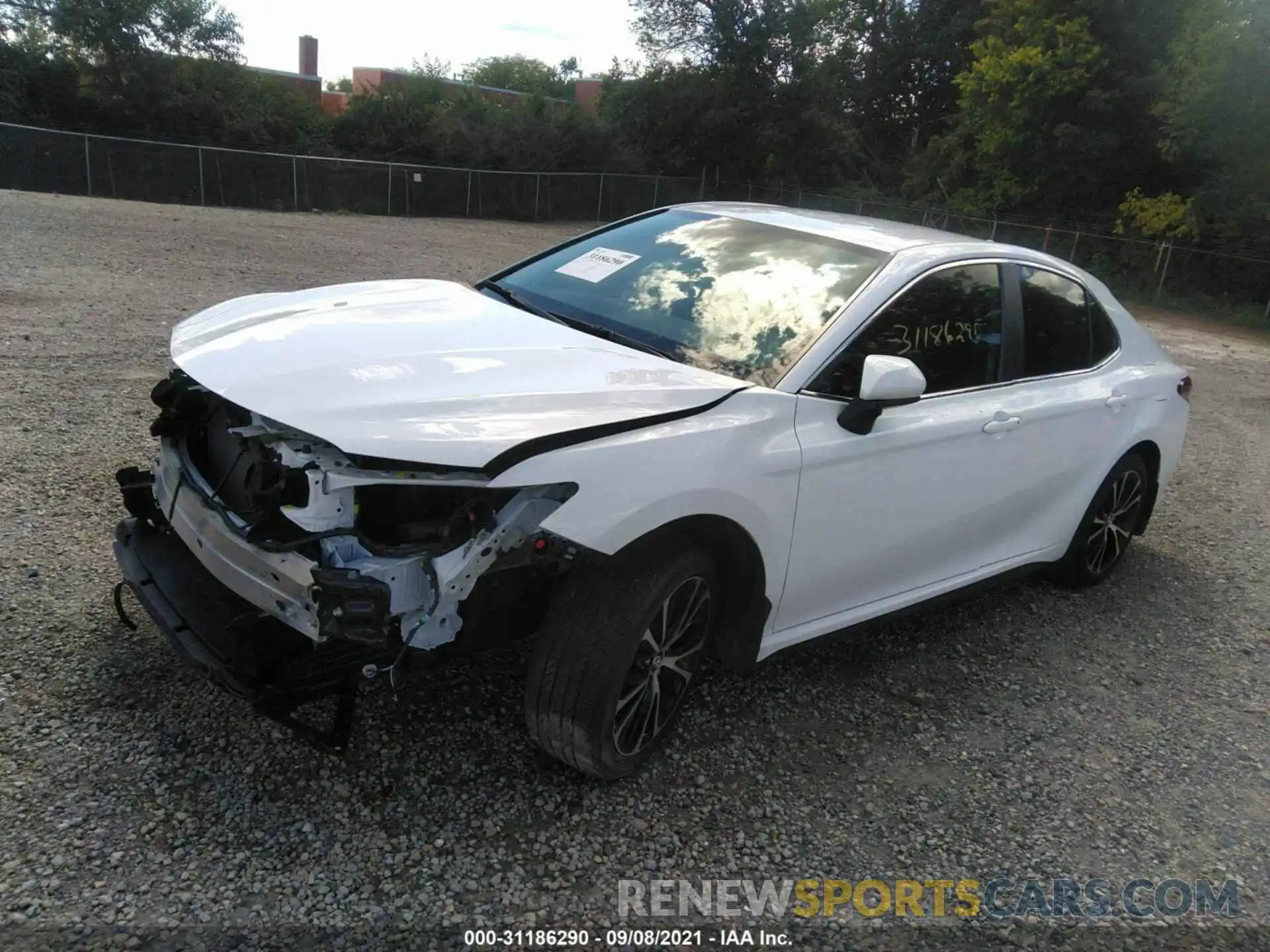 2 Photograph of a damaged car 4T1B11HK8KU785375 TOYOTA CAMRY 2019