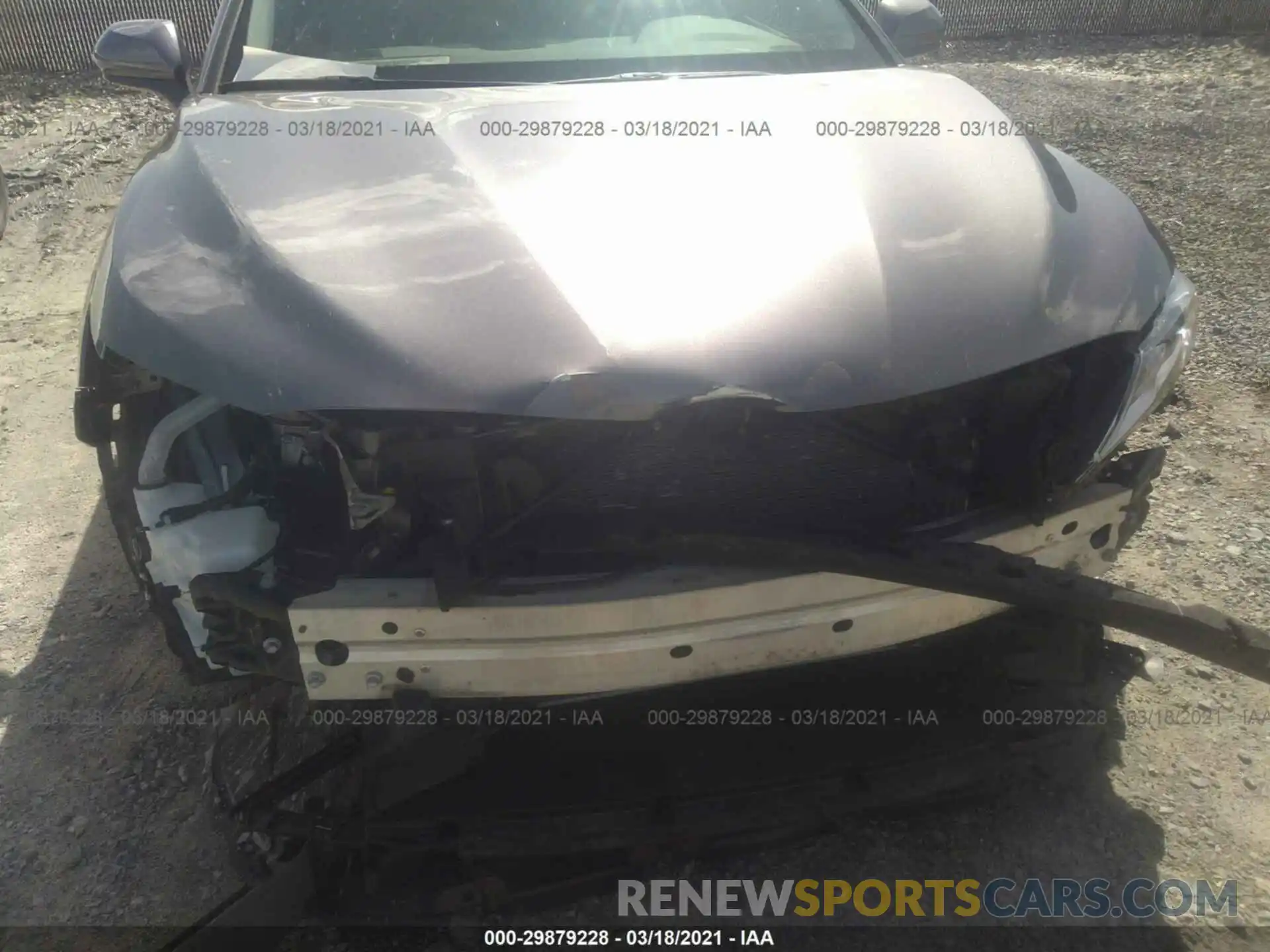 6 Photograph of a damaged car 4T1B11HK8KU810016 TOYOTA CAMRY 2019