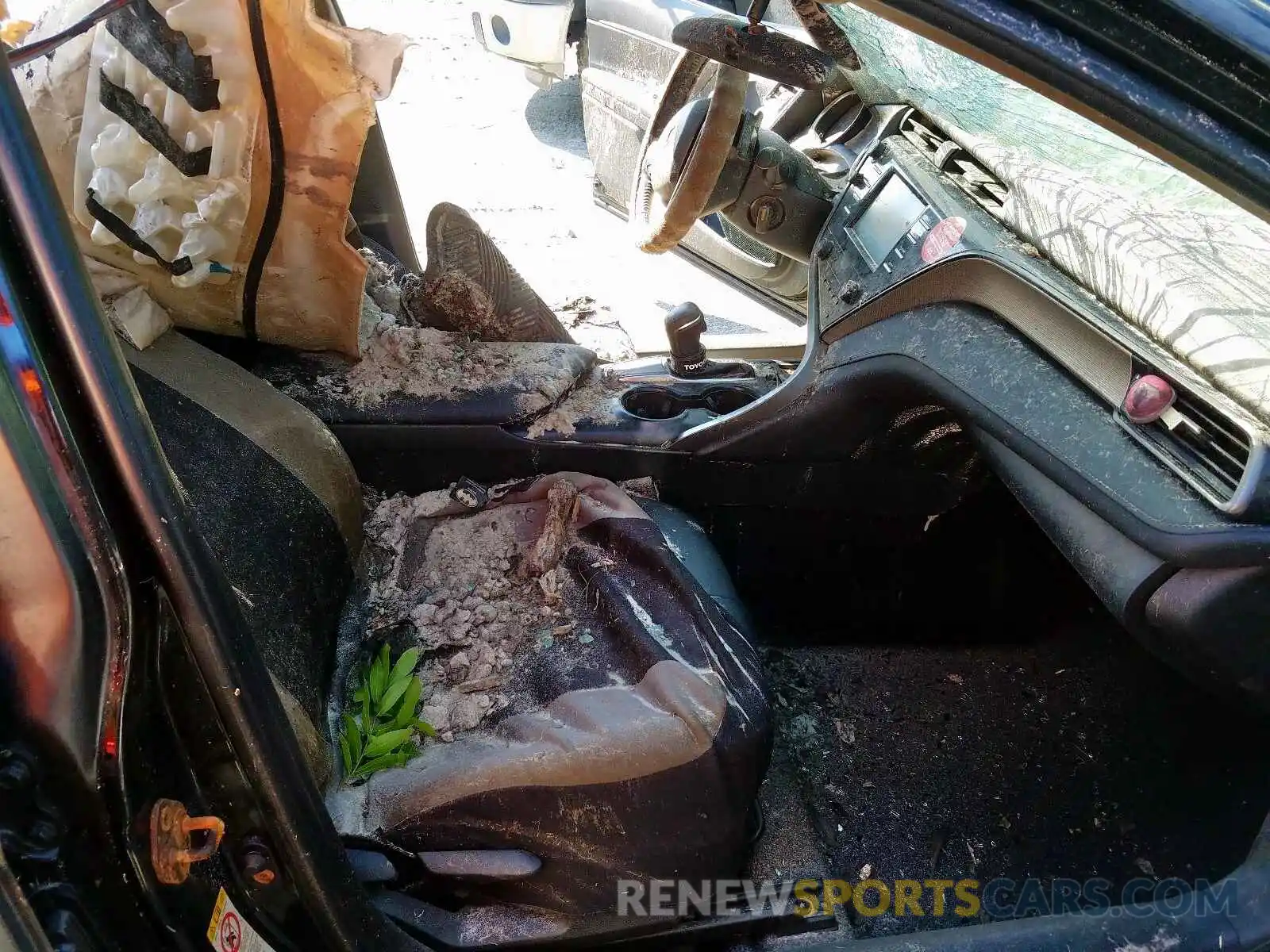 5 Photograph of a damaged car 4T1B11HK9KU161777 TOYOTA CAMRY 2019